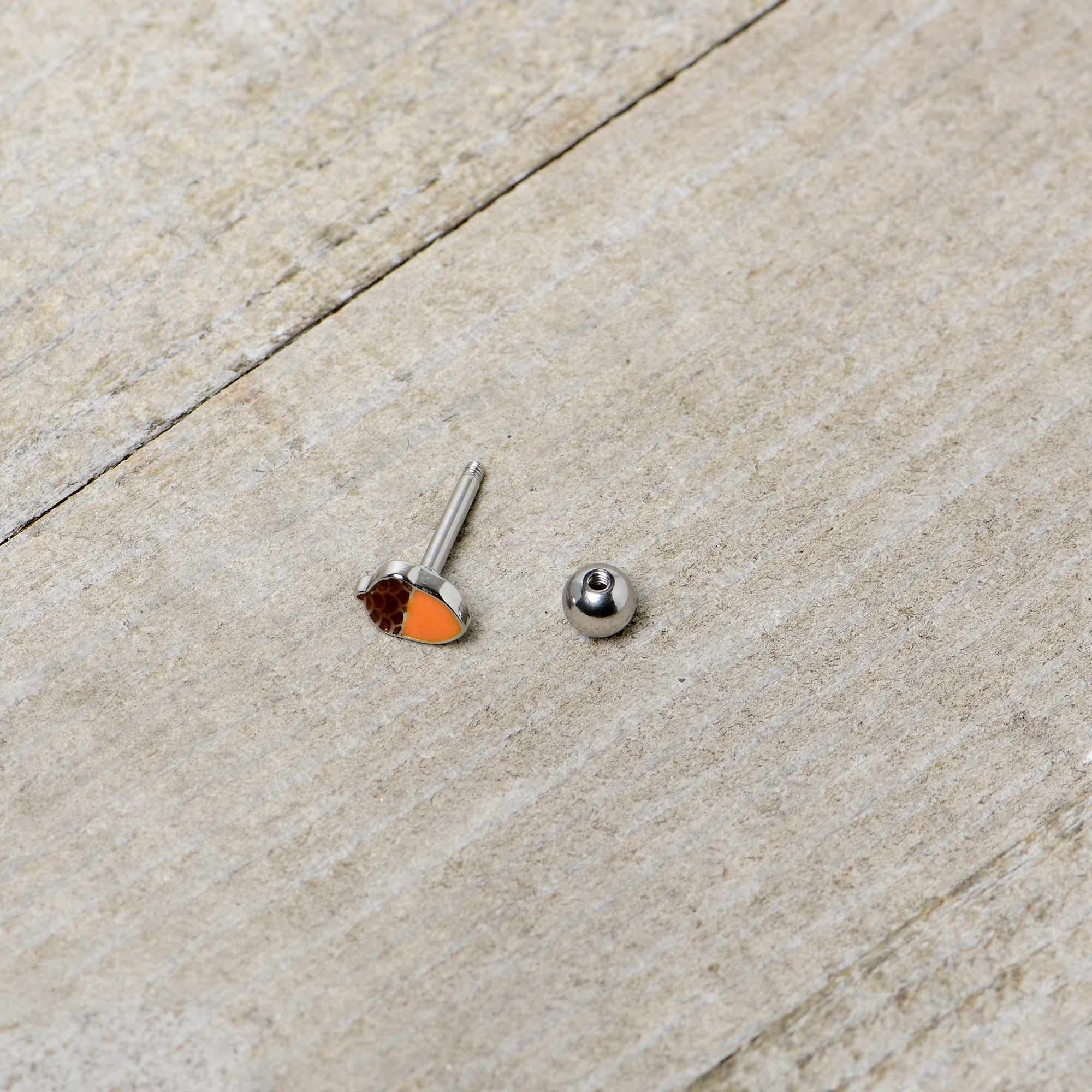 BodyCandy 16G 5/16 Autumn Acorn Brown Orange Cartilage Tragus Earring — in-use photo