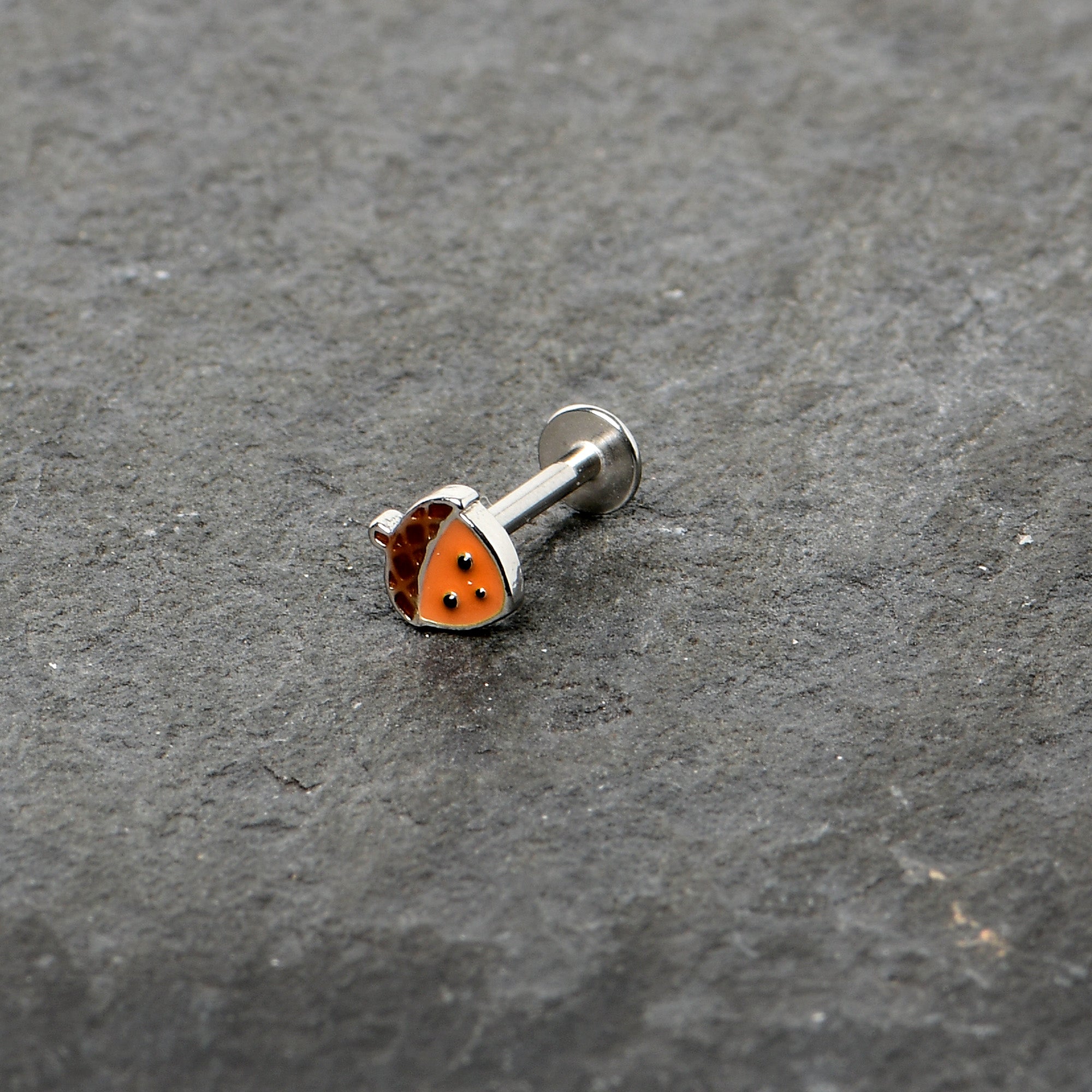 BodyCandy 16G 5/16 Acorn Face Brown Autumn Labret Monroe Tragus — back view