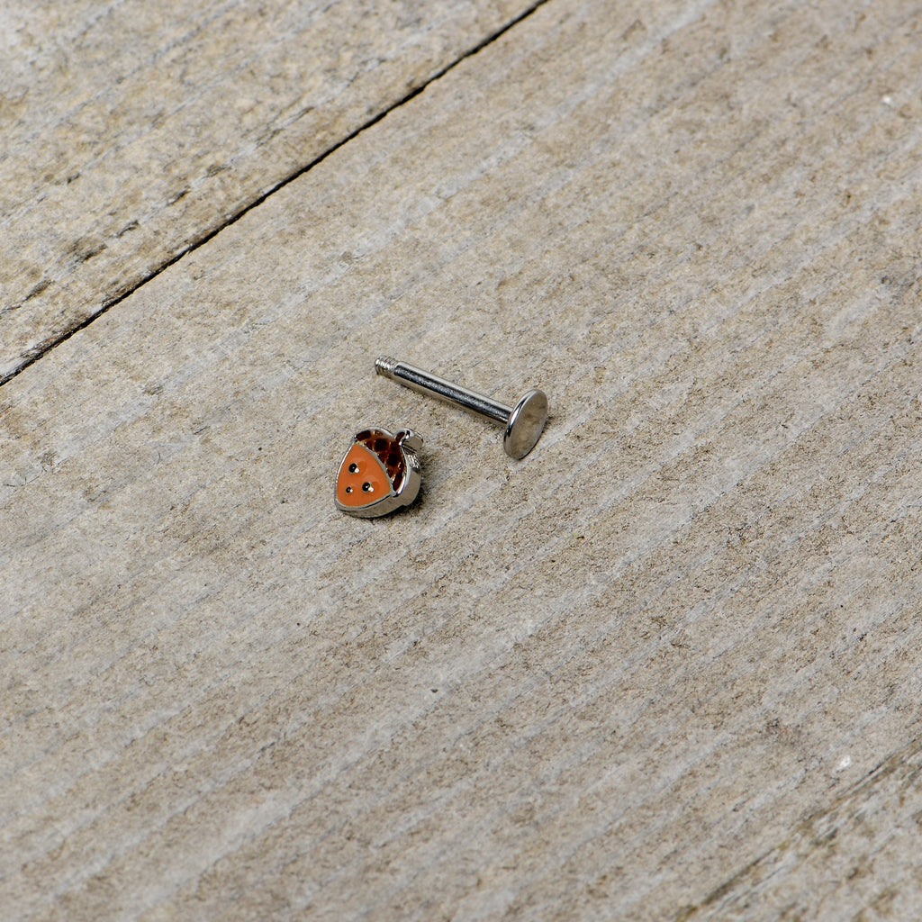 BodyCandy 16G 5/16 Acorn Face Brown Autumn Labret Monroe Tragus — in-use photo