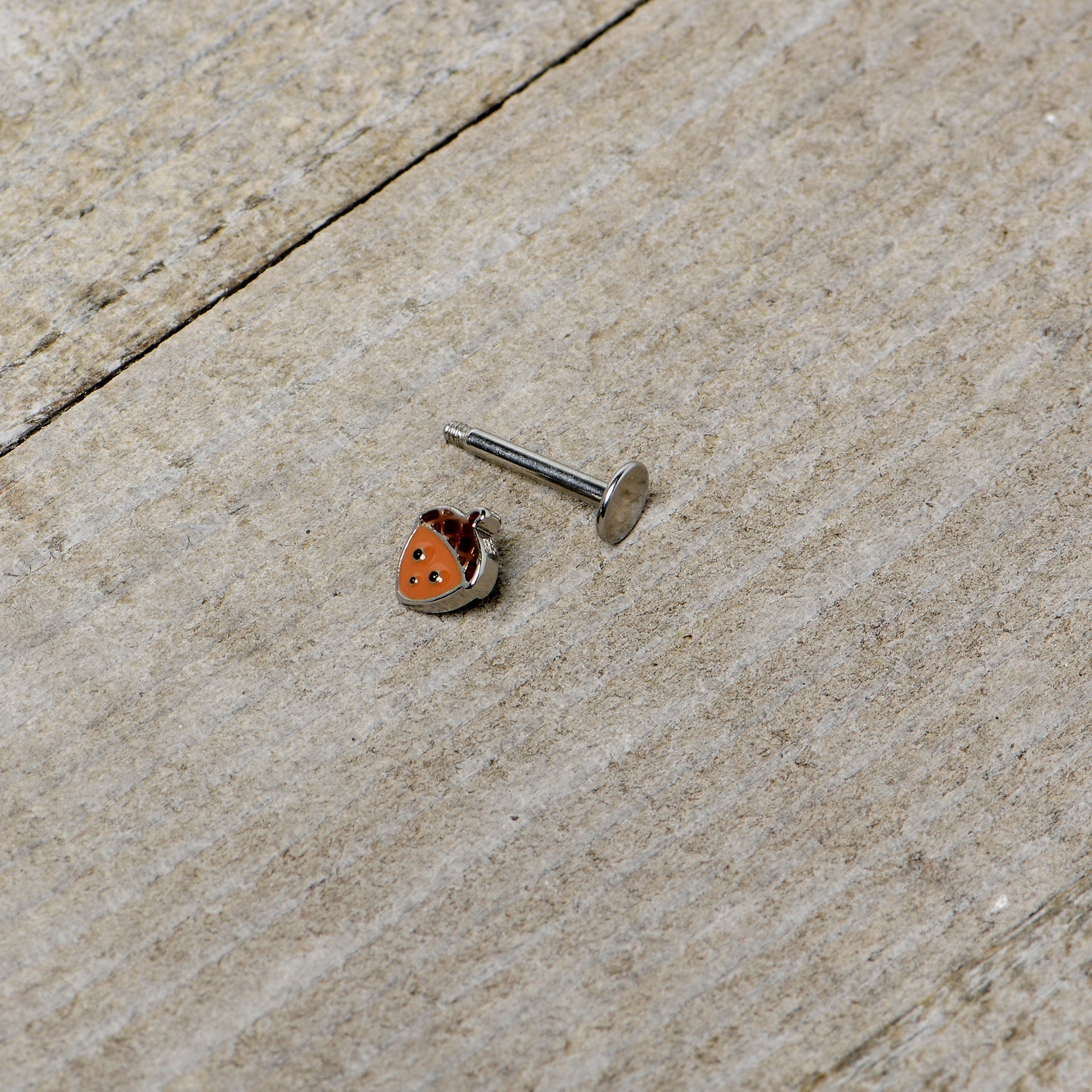 BodyCandy 16G 5/16 Acorn Face Brown Autumn Labret Monroe Tragus — in-use photo