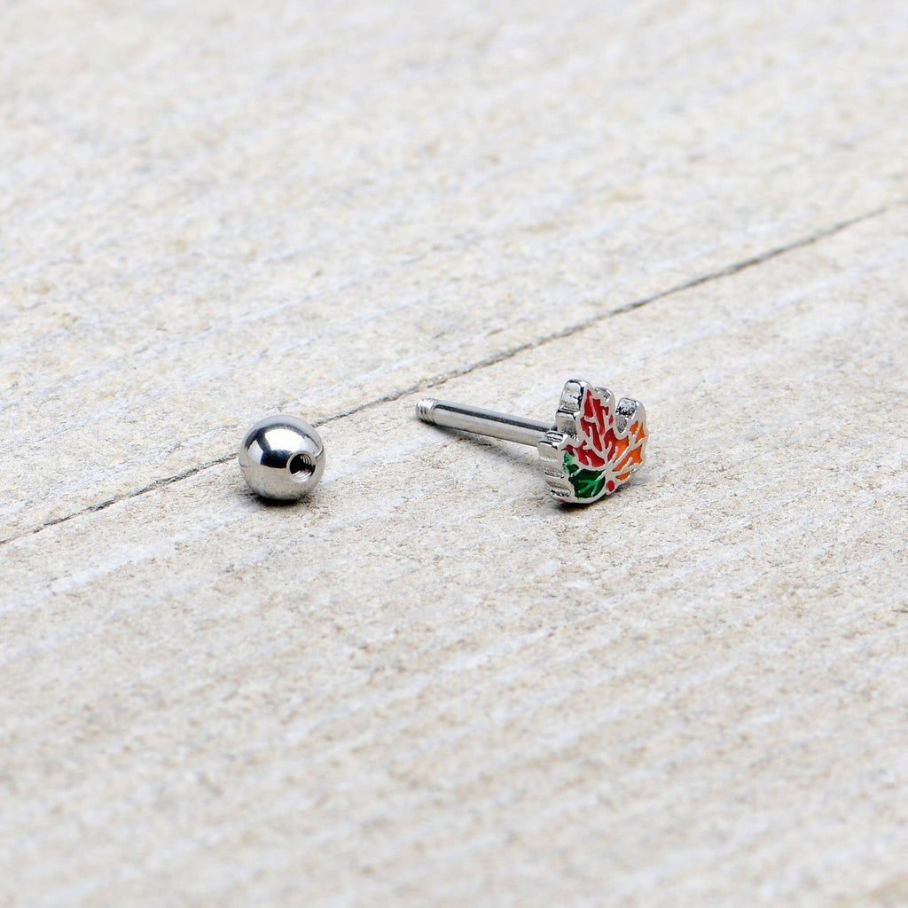 BodyCandy 16G 5/16 Autumn Tricolor Maple Leaf Cartilage Tragus Earring — in-use photo