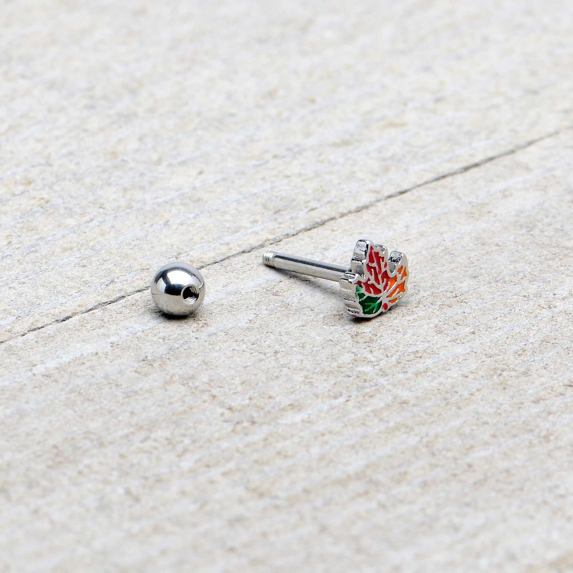 BodyCandy 16G 5/16 Autumn Tricolor Maple Leaf Cartilage Tragus Earring — in-use photo