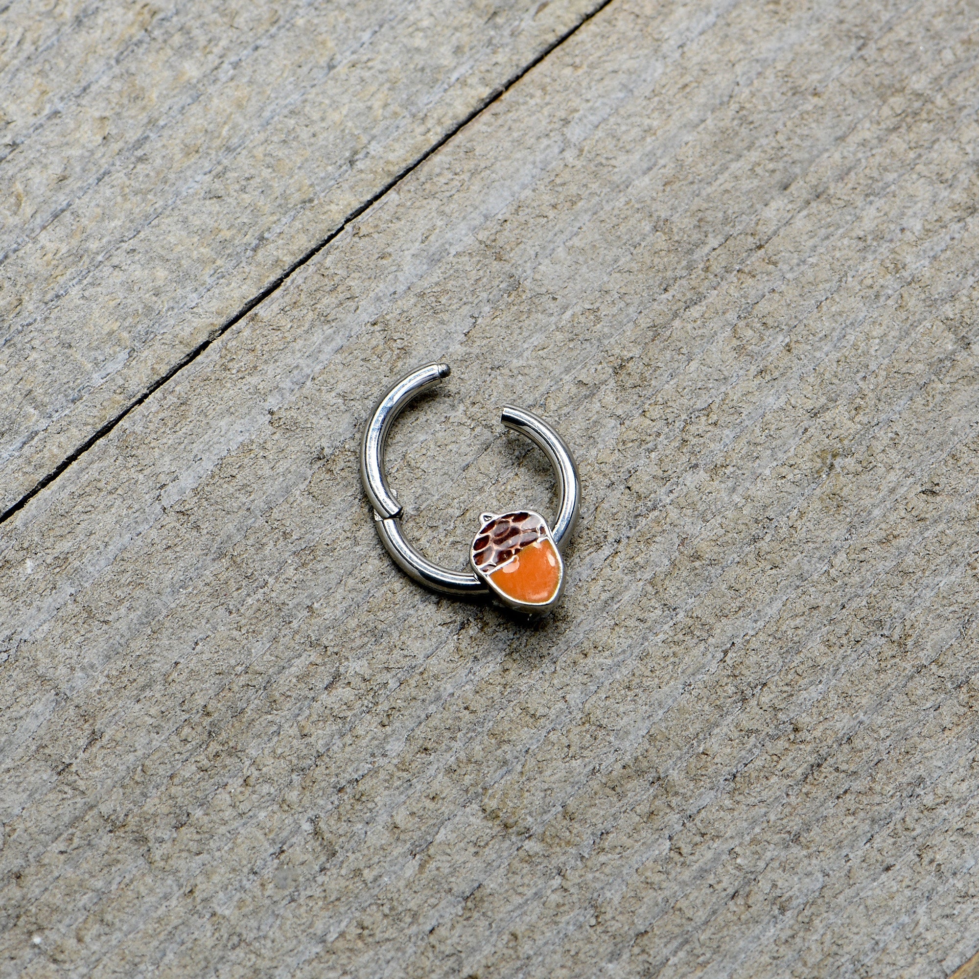 BodyCandy 16G 3/8 Autumn Acorn Orange Brown Hinged Segment Ring — in-use photo