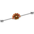 BodyCandy 14G Cute Colorful Turkey Thanksgiving Industrial Barbell 38mm — main product shot