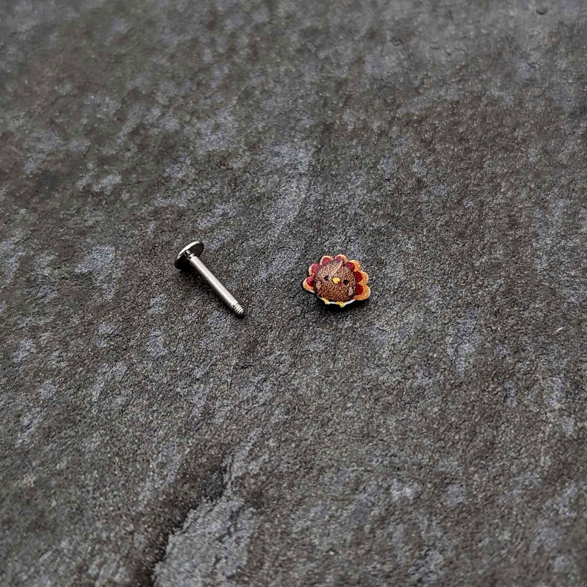 BodyCandy 16G 5/16 Sweet Tiny Turkey Thanksgiving Labret Monroe Tragus — alternative angle