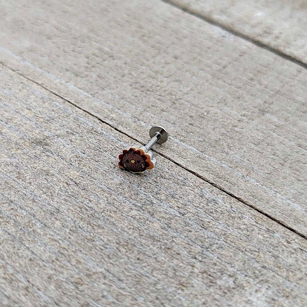 BodyCandy 16G 5/16 Sweet Tiny Turkey Thanksgiving Labret Monroe Tragus — in-use photo