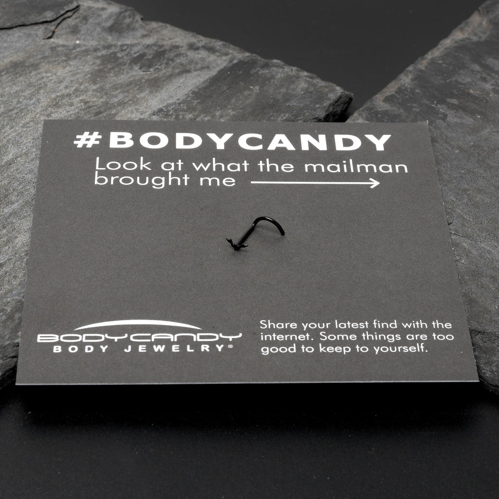 BodyCandy 20G 1/4 Black Anodized Itty Bitty Bat Left Side Nose Screw — size reference