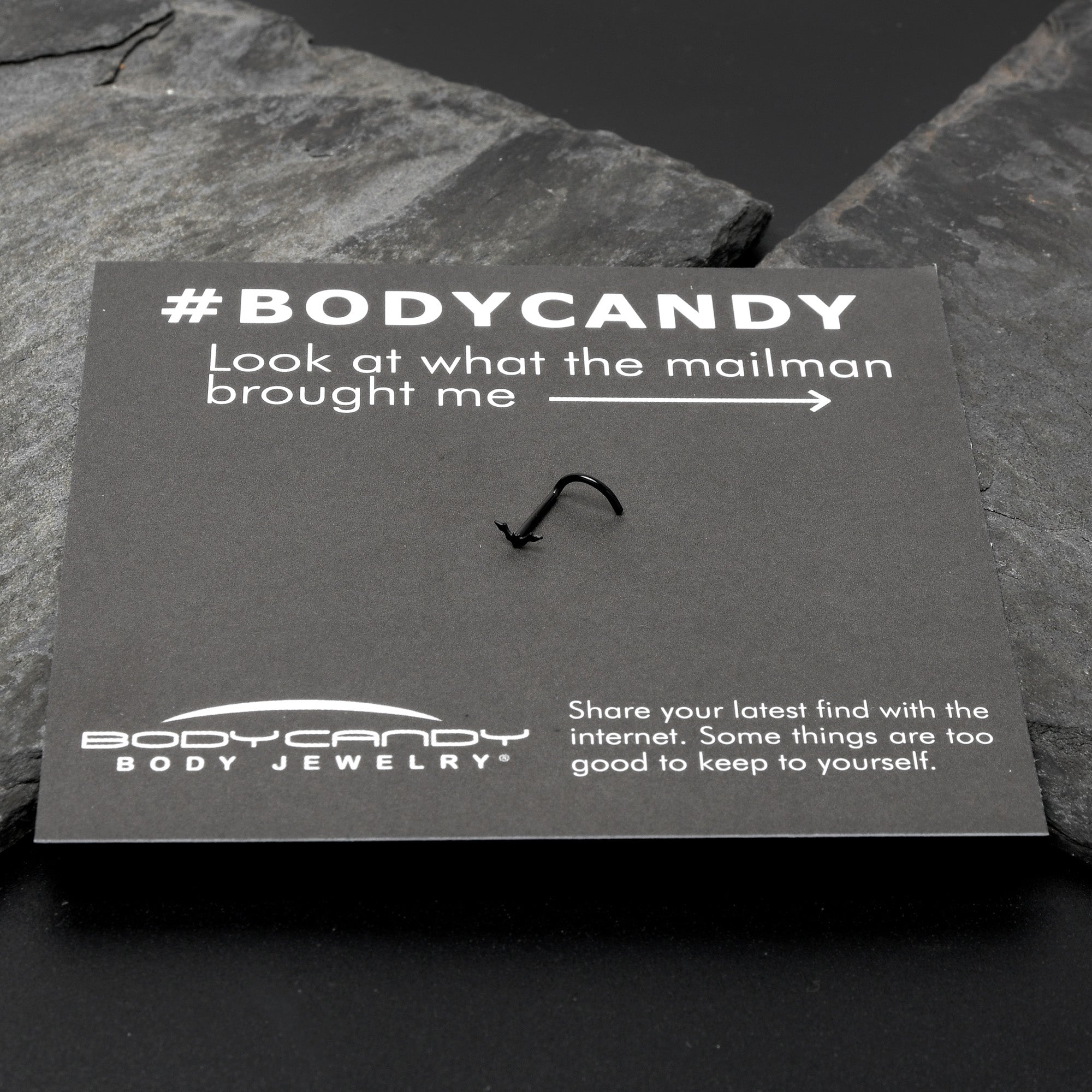 BodyCandy 20G 1/4 Black Anodized Itty Bitty Bat Left Side Nose Screw — size reference