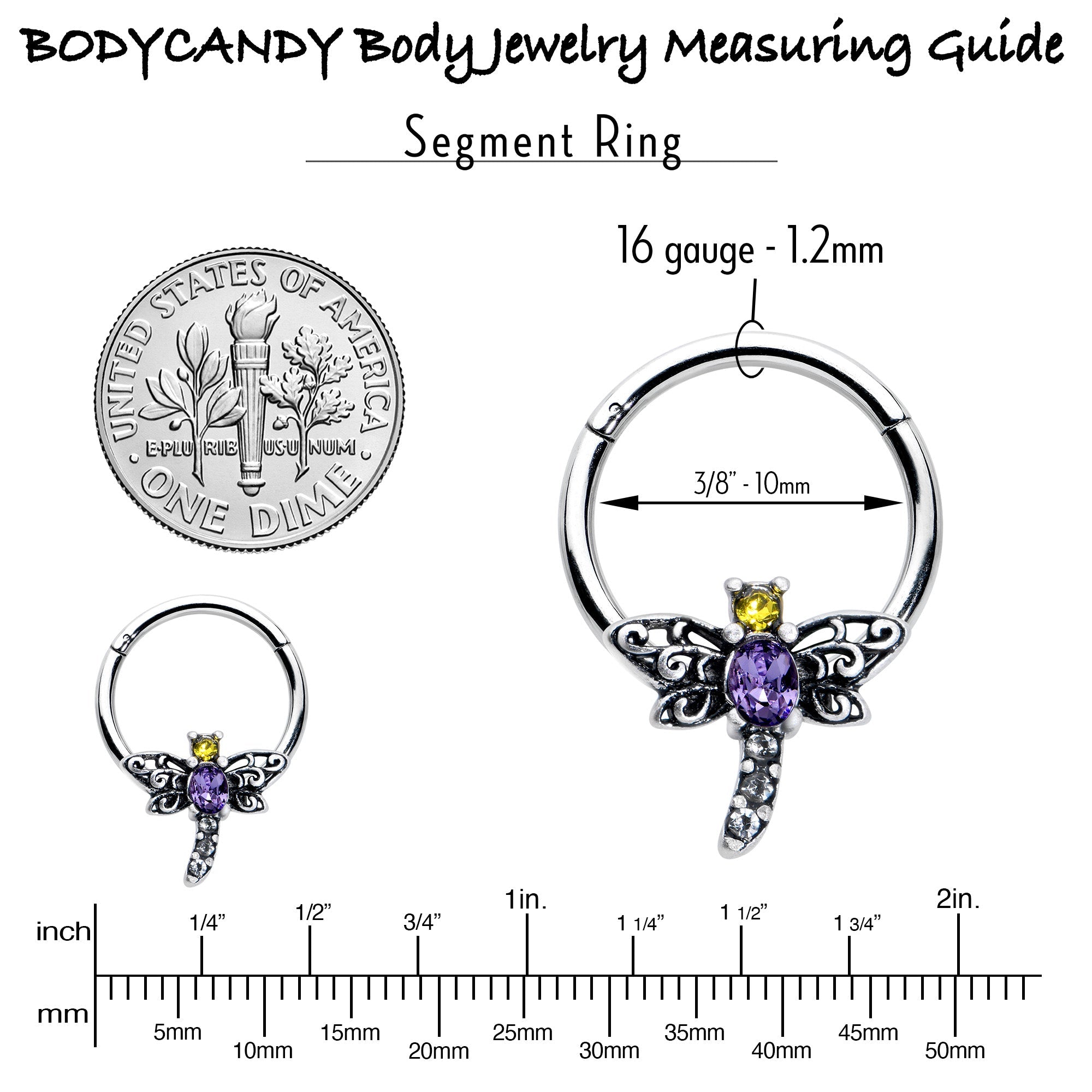 BodyCandy 16G 3/8 Purple Yellow Gem Dragonfly Hinged Segment Ring — in-use photo