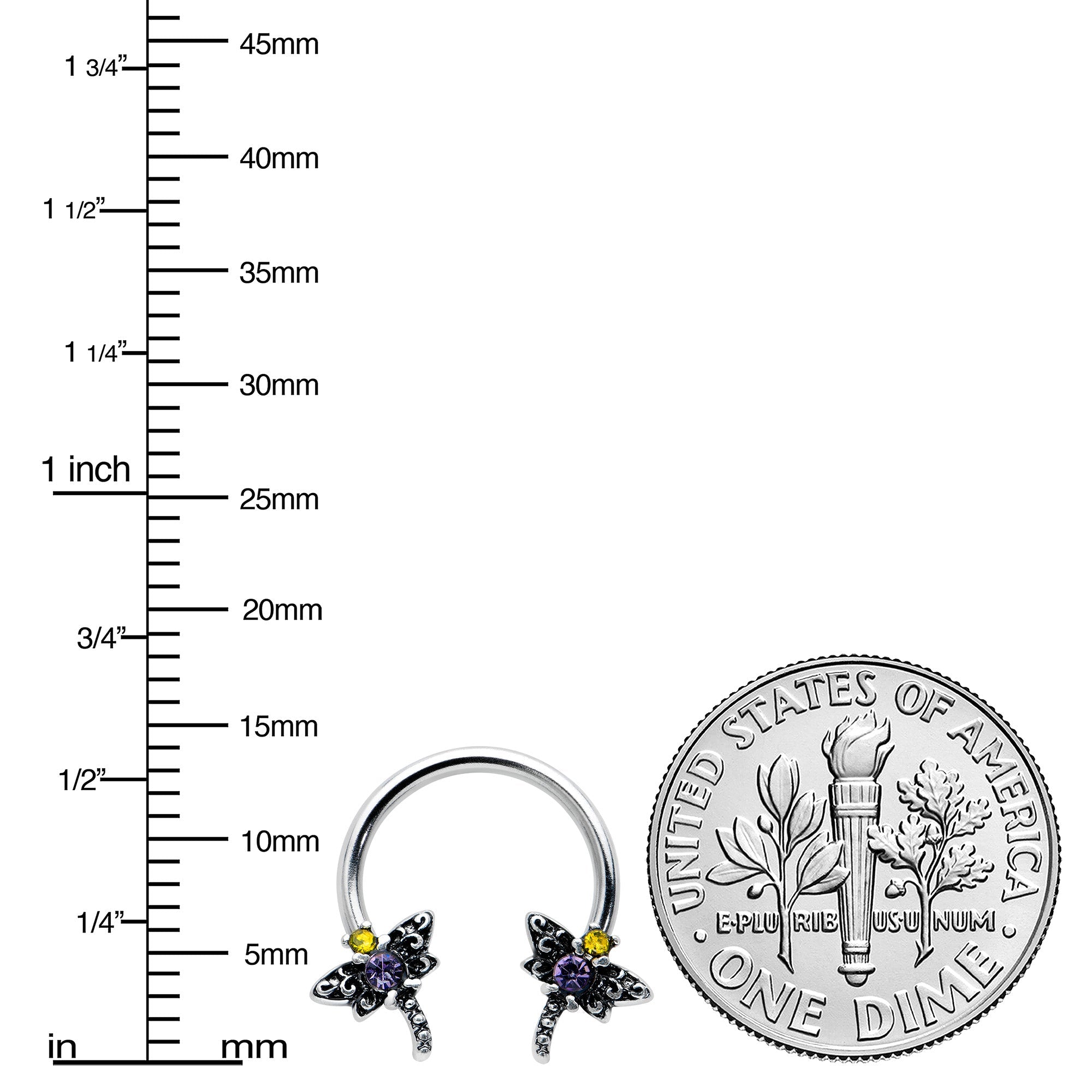 BodyCandy 16G 3/8 Purple Yellow Gem Dragonfly Horseshoe Circular Barbell — lifestyle context