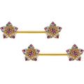 BodyCandy 14G 9/16 Pink Gem Gold Tone Texture Star Barbell Nipple Ring Set — main product shot