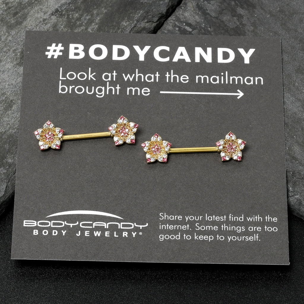 BodyCandy 14G 9/16 Pink Gem Gold Tone Texture Star Barbell Nipple Ring Set — alternative angle