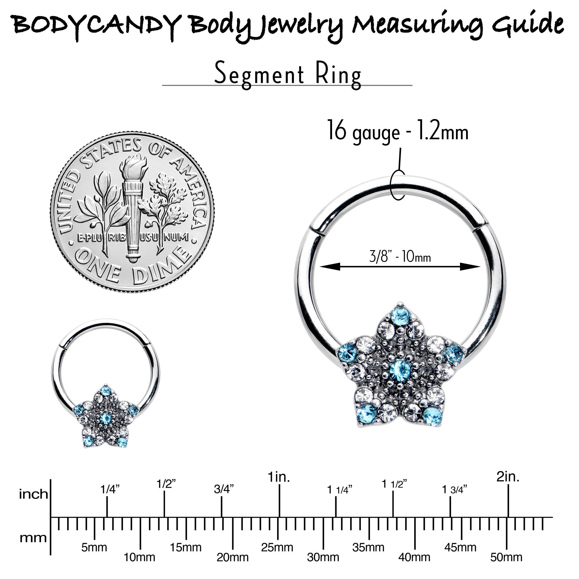 BodyCandy 16G 3/8 Blue Clear Gem Opulent Flower Hinged Segment Ring — alternative angle
