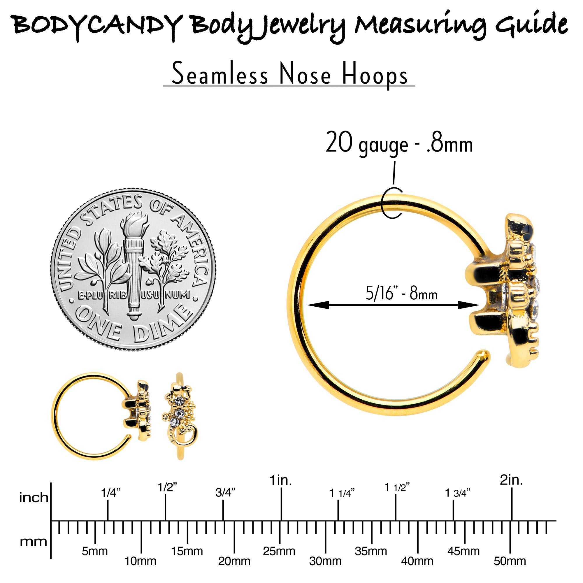 BodyCandy 20G 5/16 Clear Gem Gold Tone Luscious Lizard Nose Hoop — back view