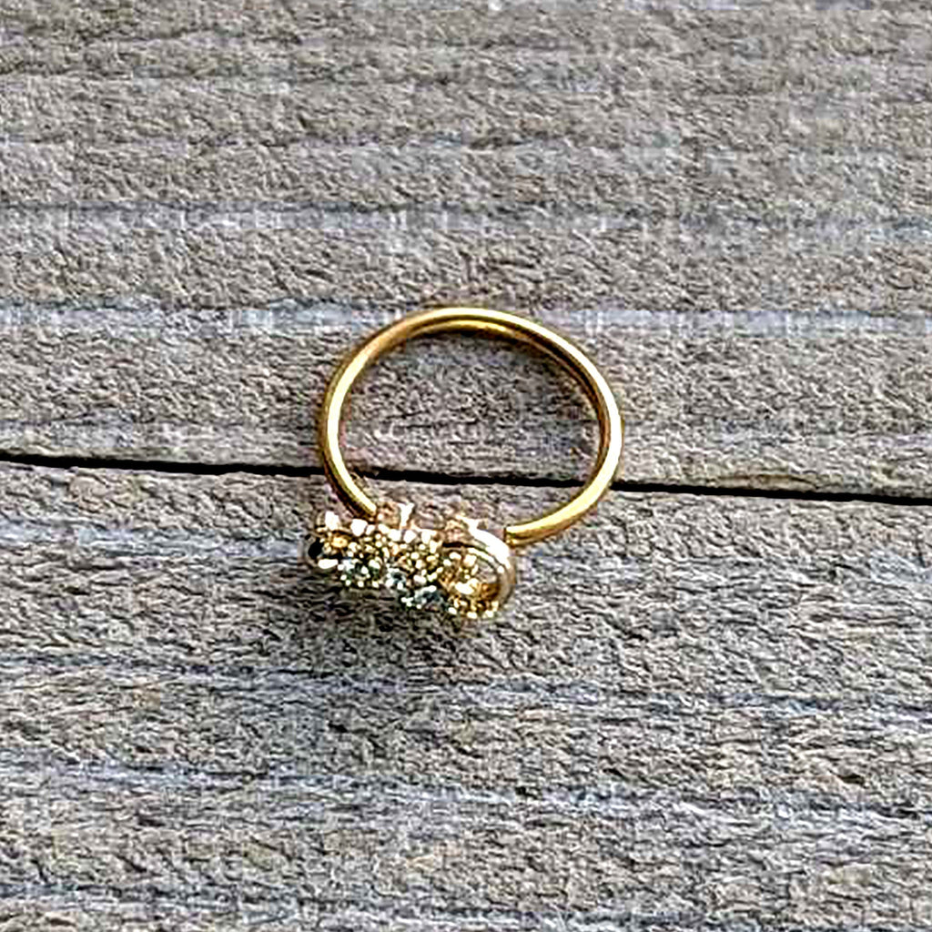 BodyCandy 20G 5/16 Clear Gem Gold Tone Luscious Lizard Nose Hoop — alternative angle