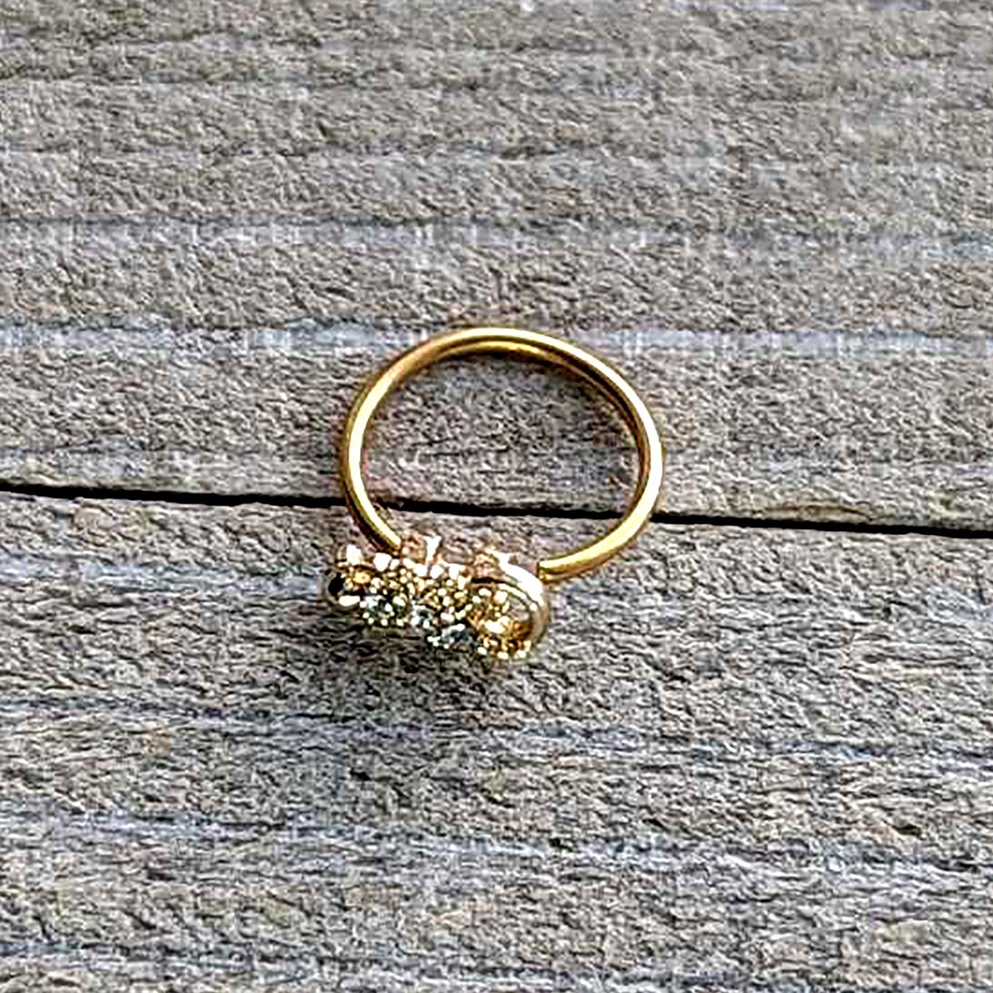 BodyCandy 20G 5/16 Clear Gem Gold Tone Luscious Lizard Nose Hoop — alternative angle