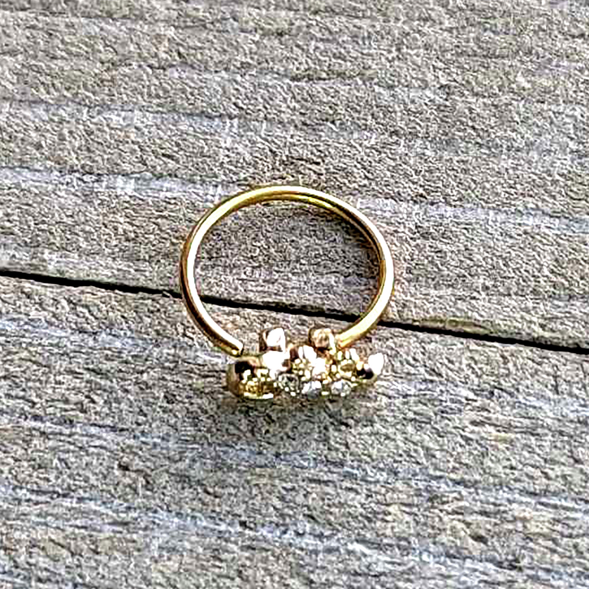 BodyCandy 20G 5/16 Clear Gem Gold Tone Luscious Lizard Nose Hoop — in-use photo