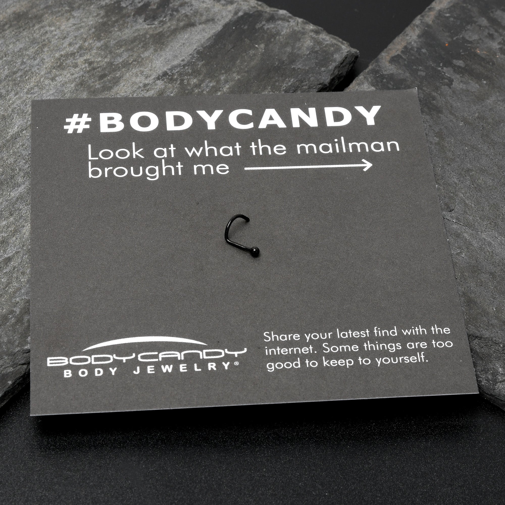 BodyCandy 20G 1/4 Black ASTM F-136 Implant Grade Titanium Ball End Left Side Nose Screw — in-use photo