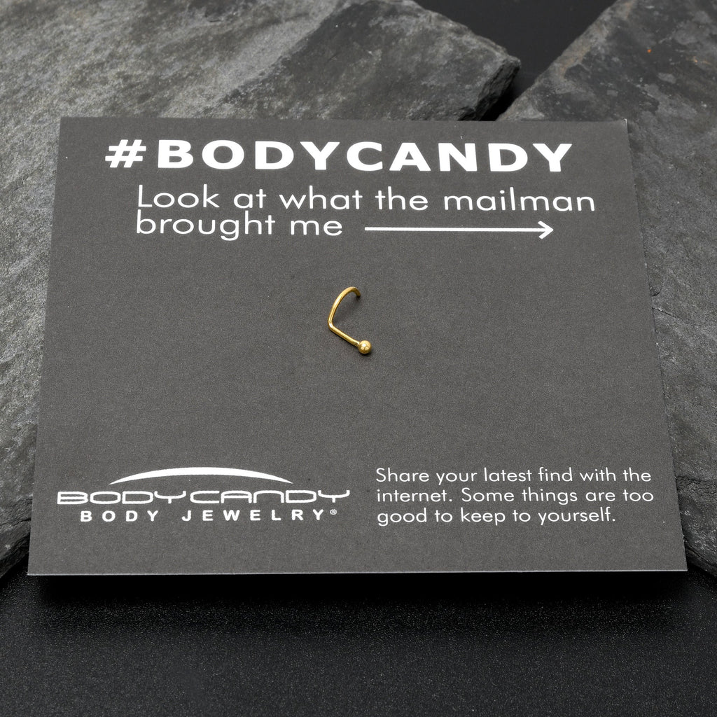 BodyCandy 20G 1/4 Gold Hue ASTM F-136 Implant Grade Titanium Ball End Left Side Nose Screw — in-use photo