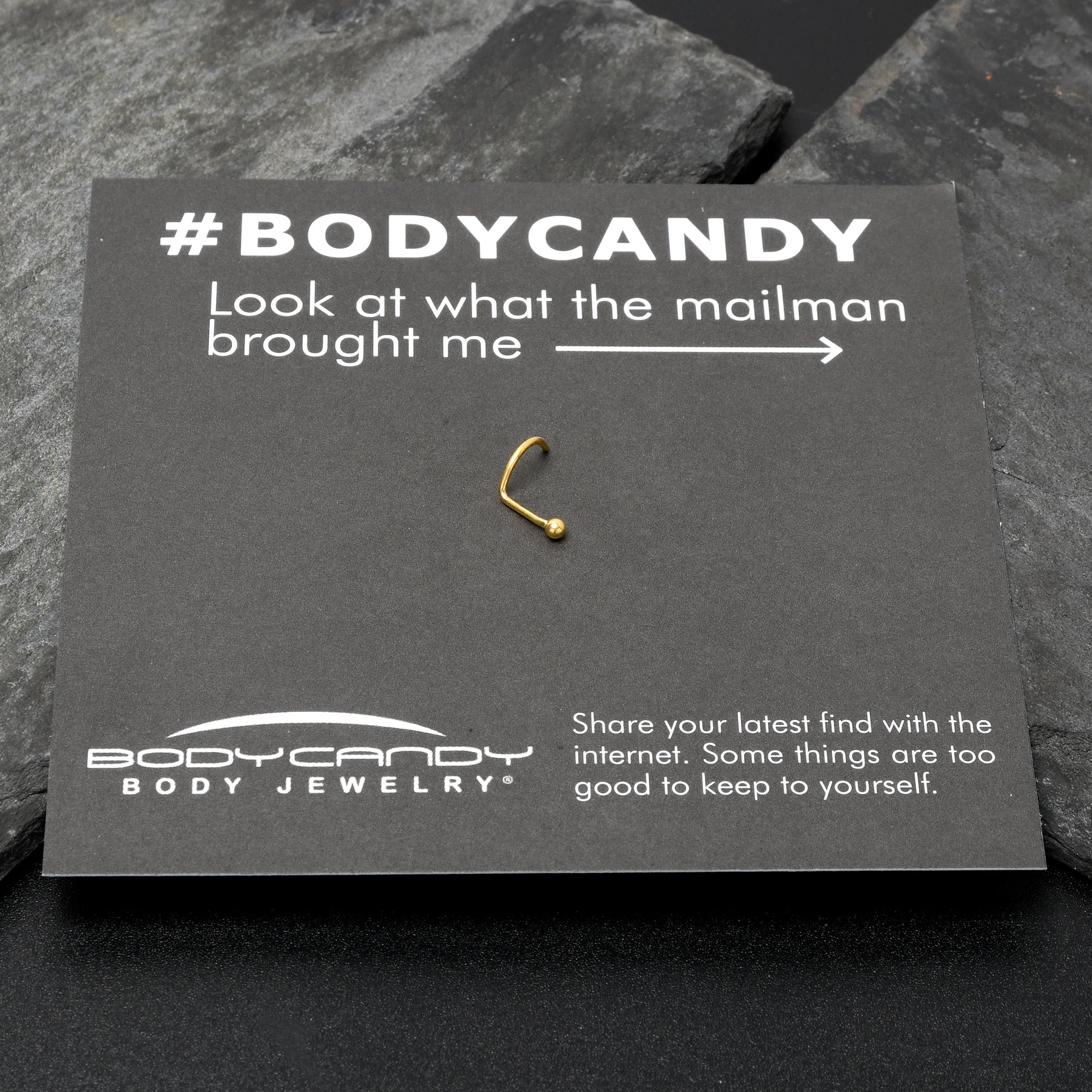 BodyCandy 20G 1/4 Gold Hue ASTM F-136 Implant Grade Titanium Ball End Left Side Nose Screw — in-use photo