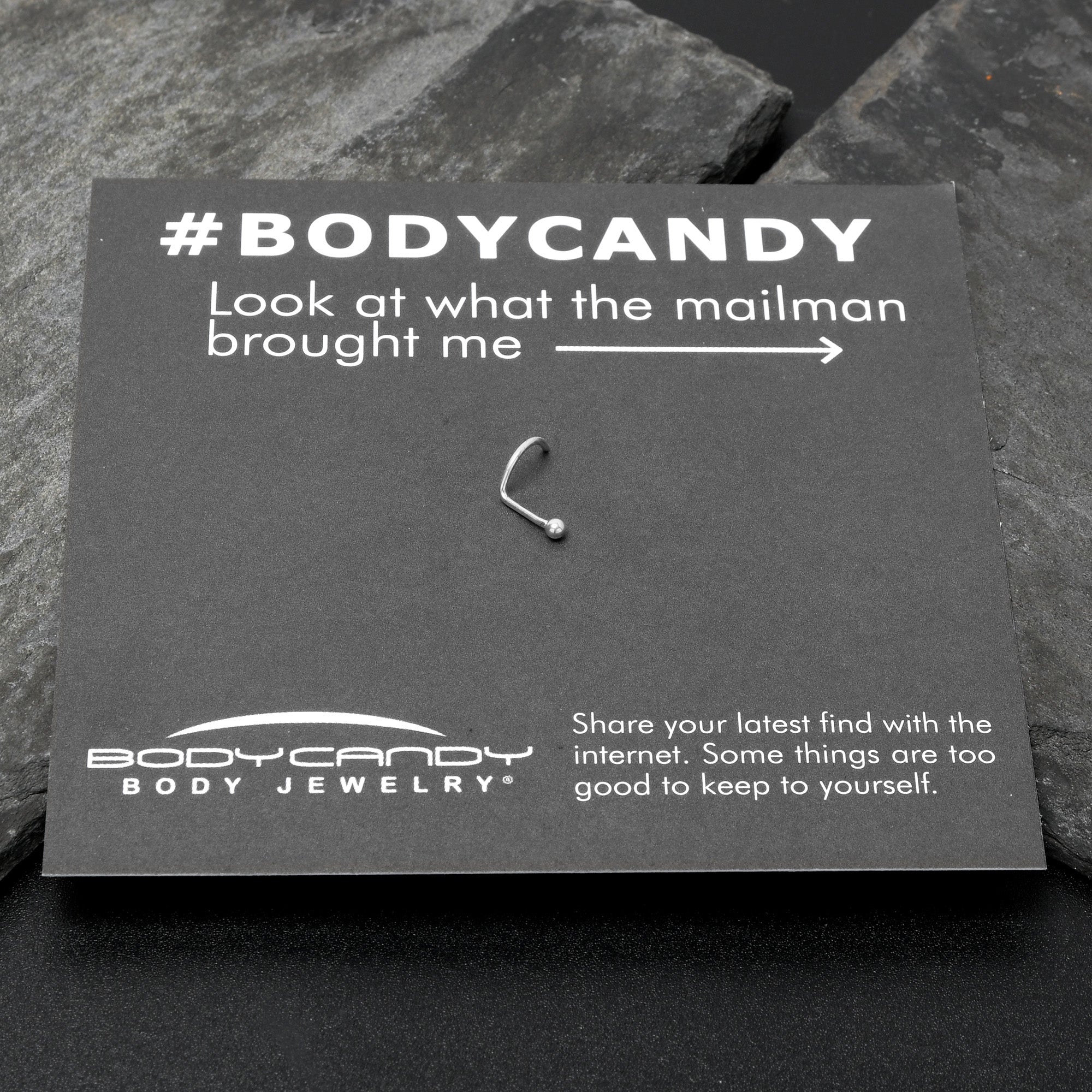 BodyCandy 20G 1/4 ASTM F-136 Implant Grade Titanium Ball End Left Side Nose Screw — in-use photo