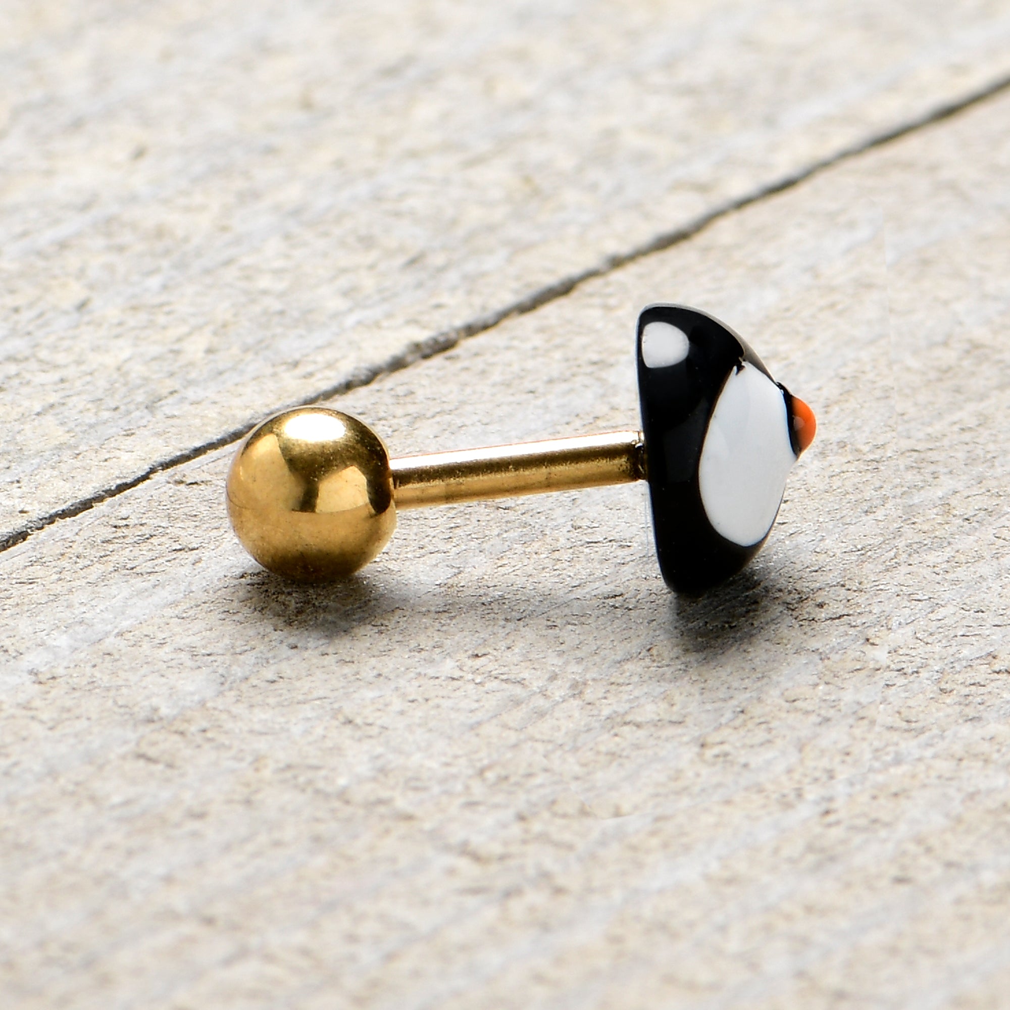 BodyCandy 16G 1/4 Gold Tone Round Penguin Face Holiday Cartilage Earring — size reference