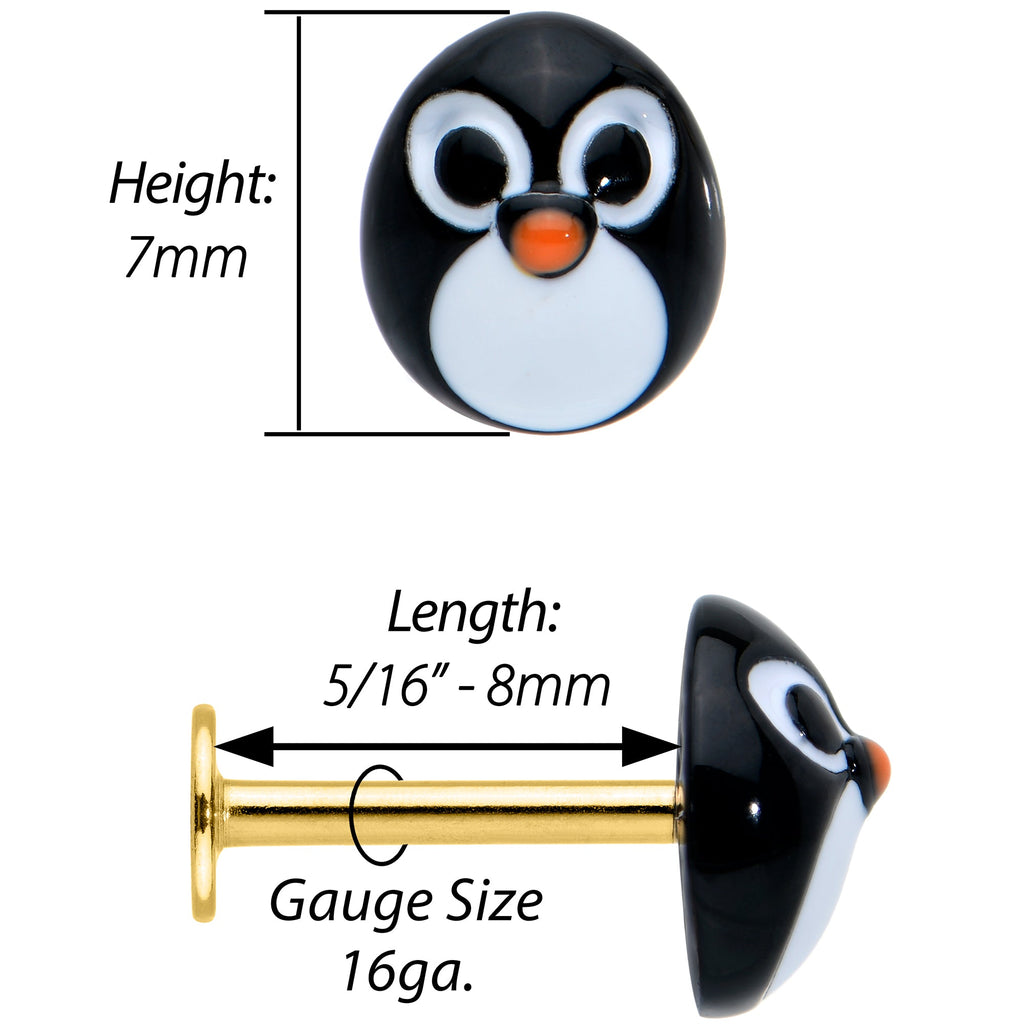 BodyCandy 16G 5/16 Gold Hue Round Penguin Face Holiday Labret Monroe Tragus — detail close-up