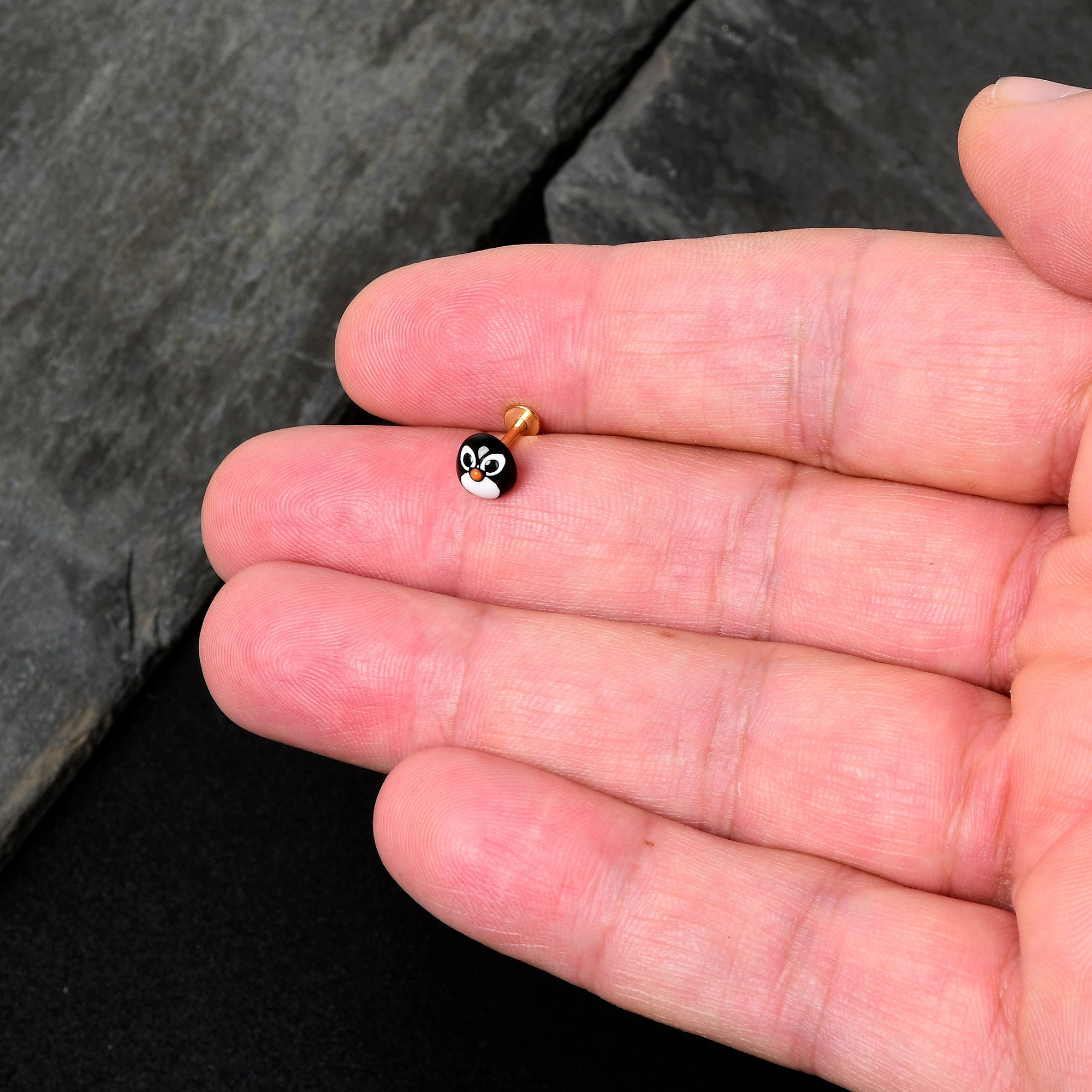 BodyCandy 16G 5/16 Gold Hue Round Penguin Face Holiday Labret Monroe Tragus — lifestyle context