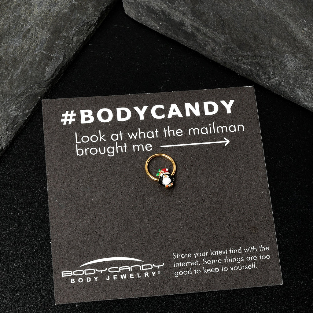 BodyCandy 16G 3/8 Gold Tone Holly Hat Penguin Holiday Hinged Segment Ring — alternative angle