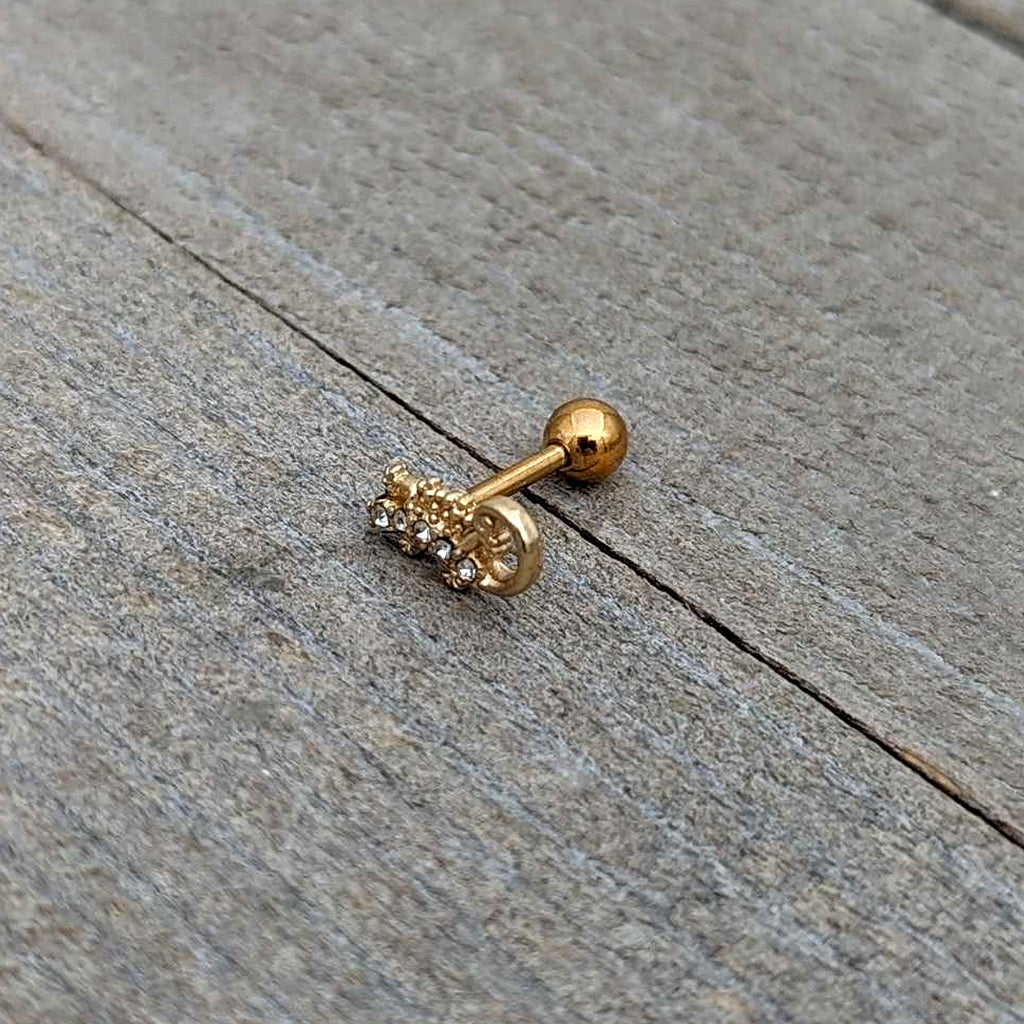 BodyCandy 16G 1/4 Clear Gem Gold Tone Luscious Lizard Cartilage Earring — in-use photo