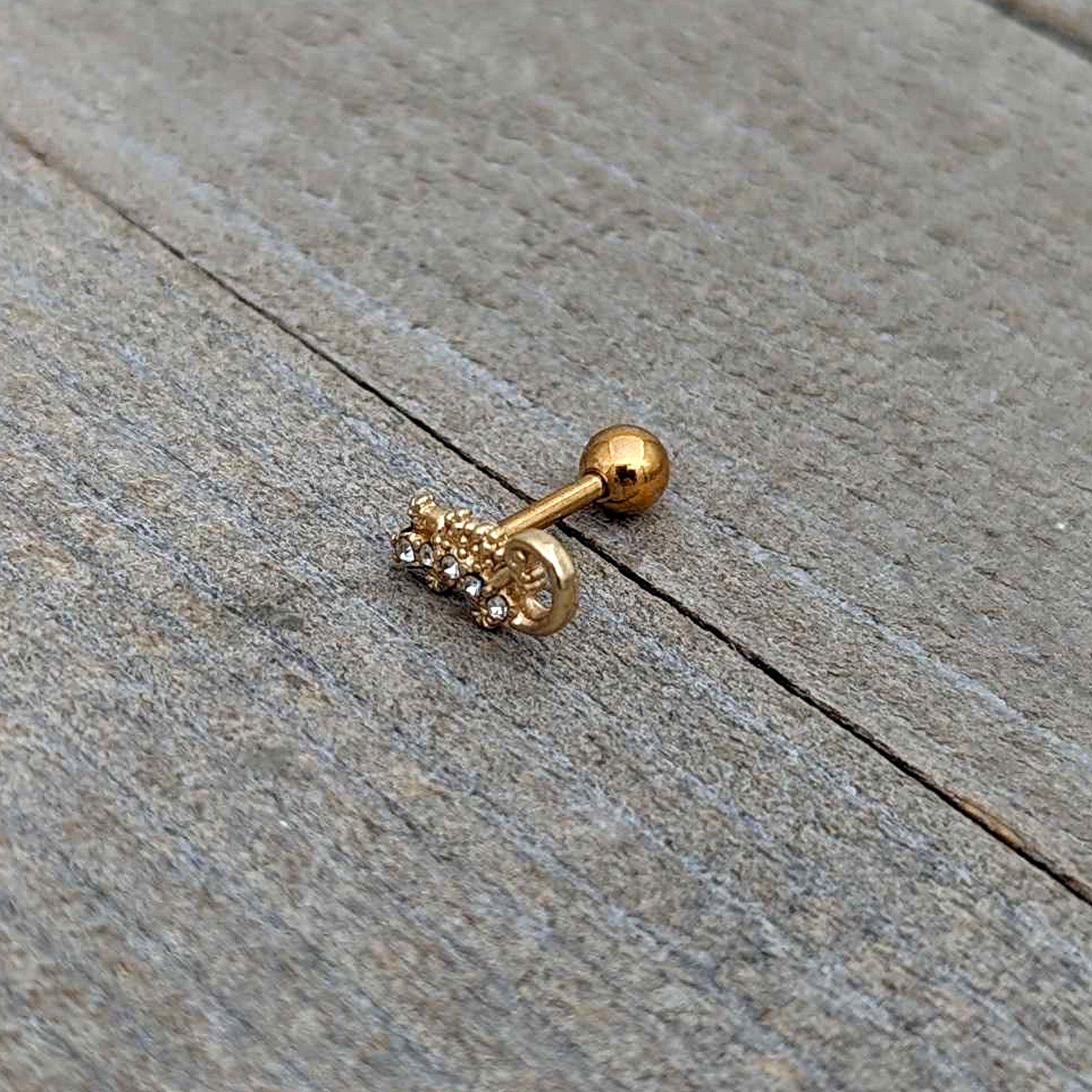 BodyCandy 16G 1/4 Clear Gem Gold Tone Luscious Lizard Cartilage Earring — in-use photo