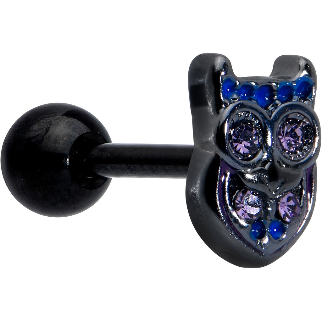BodyCandy 16G 1/4 Purple Gem Black Opulent Owl Cartilage Tragus Earring — main product shot