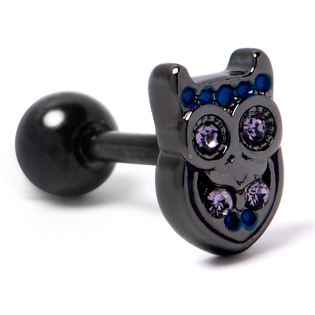 BodyCandy 16G 1/4 Purple Gem Black Opulent Owl Cartilage Tragus Earring — back view