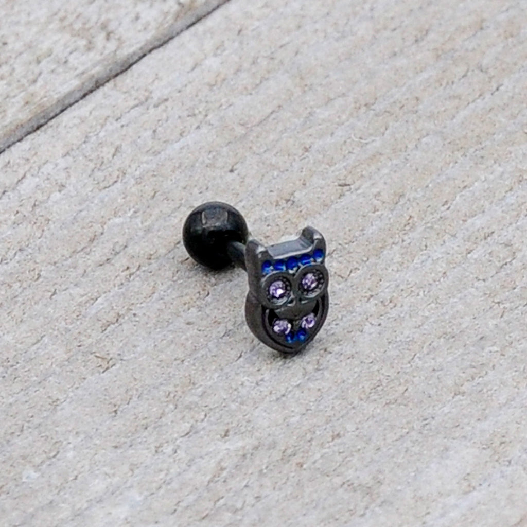 BodyCandy 16G 1/4 Purple Gem Black Opulent Owl Cartilage Tragus Earring — size reference