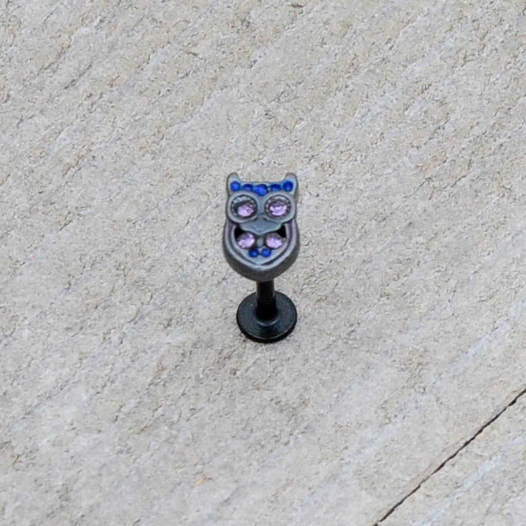 BodyCandy 16G 5/16 Purple Gem Black Opulent Owl Labret Monroe Tragus — size reference