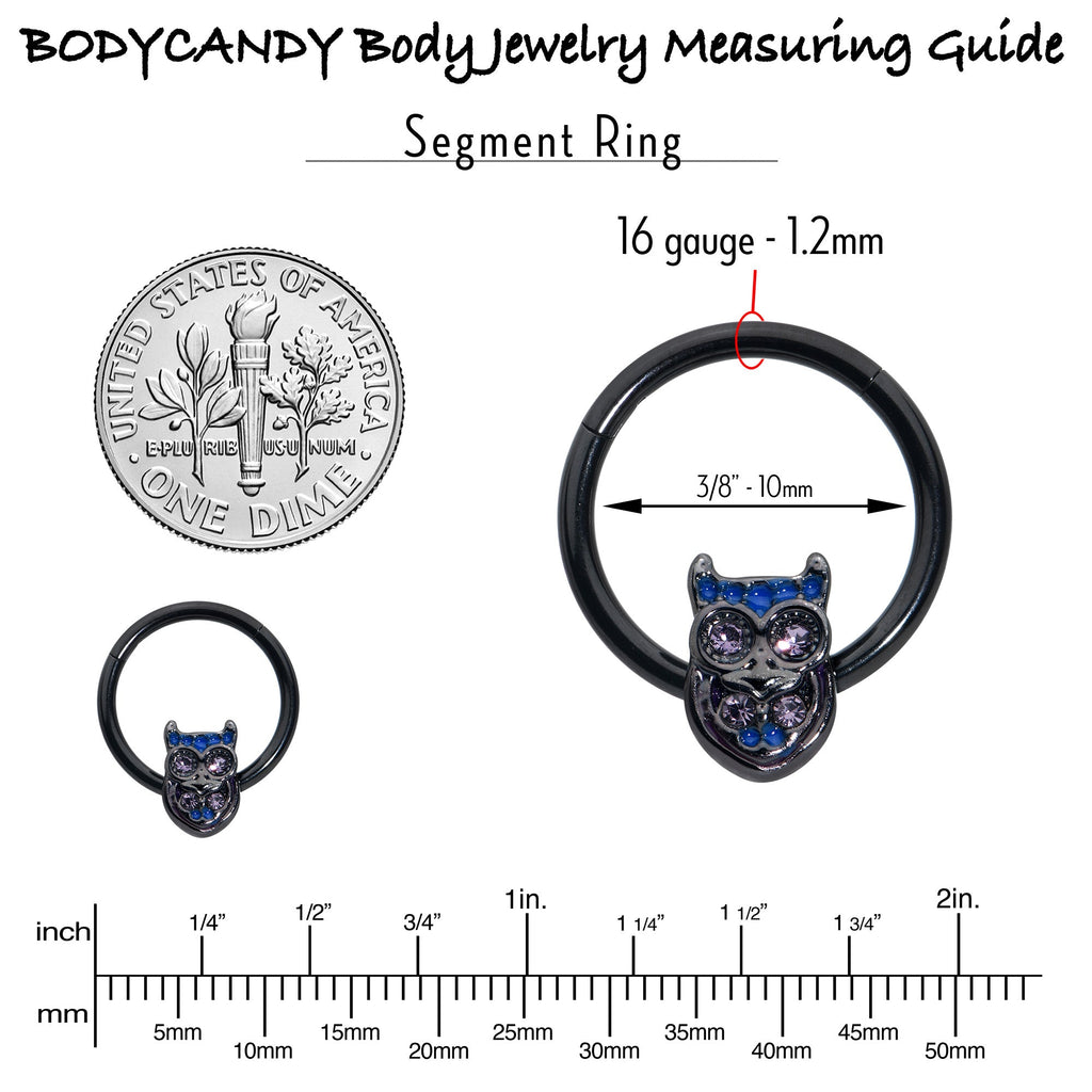 BodyCandy 16G 3/8 Purple Gem Black Opulent Owl Hinged Segment Ring — in-use photo