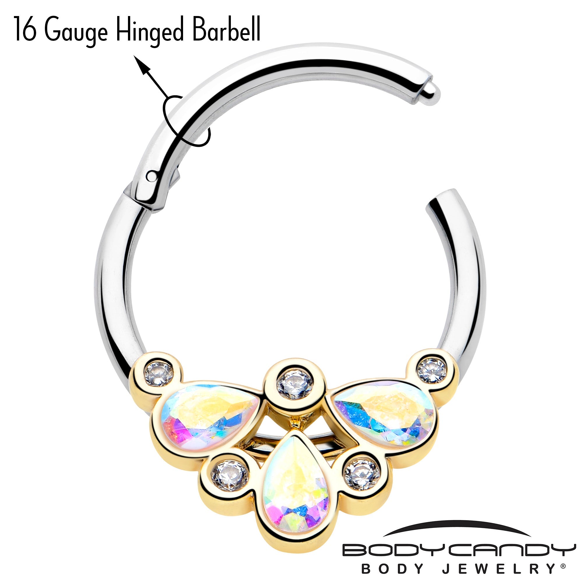 BodyCandy 16G 3/8 Aurora Gem Golden Crown Deluxe Hinged Segment Ring — lifestyle context