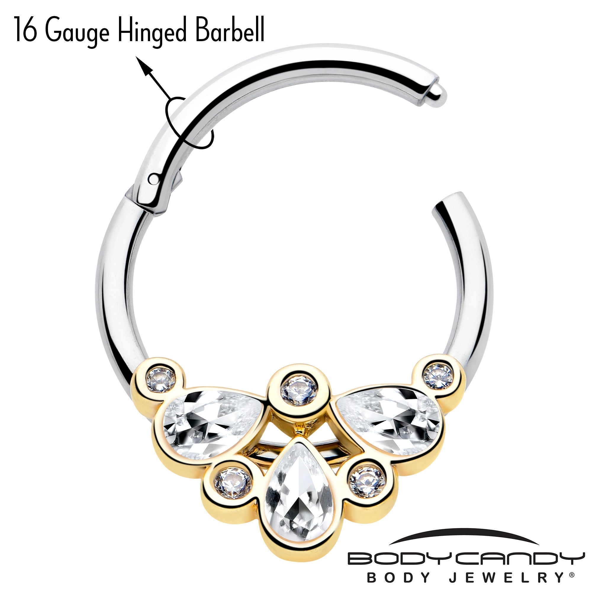 BodyCandy 16G 3/8 Clear Gem Golden Crown Deluxe Hinged Segment Ring — lifestyle context