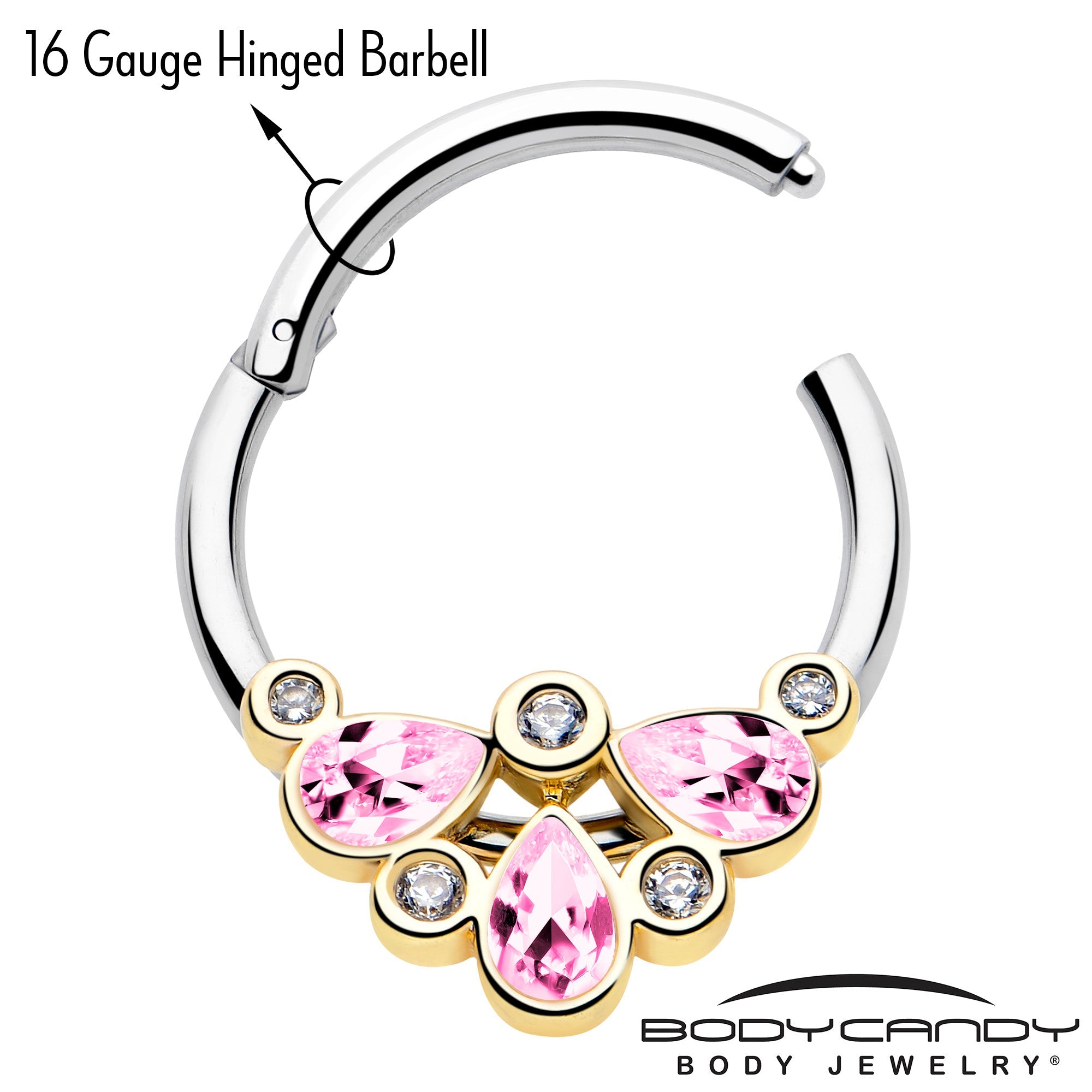 BodyCandy 16G 3/8 Pink Gem Golden Crown Deluxe Hinged Segment Ring — lifestyle context