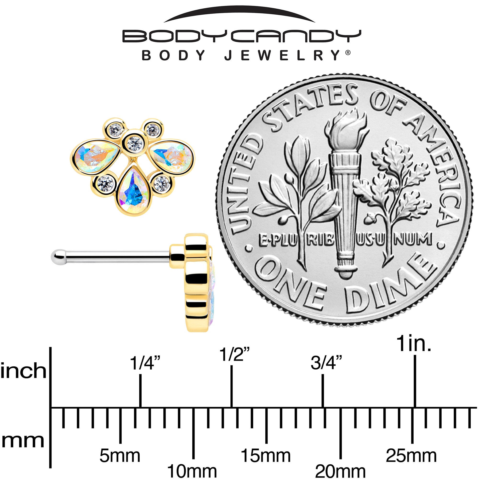 BodyCandy 20G 1/4 Aurora Gem Golden Crown Deluxe Nose Bone — back view
