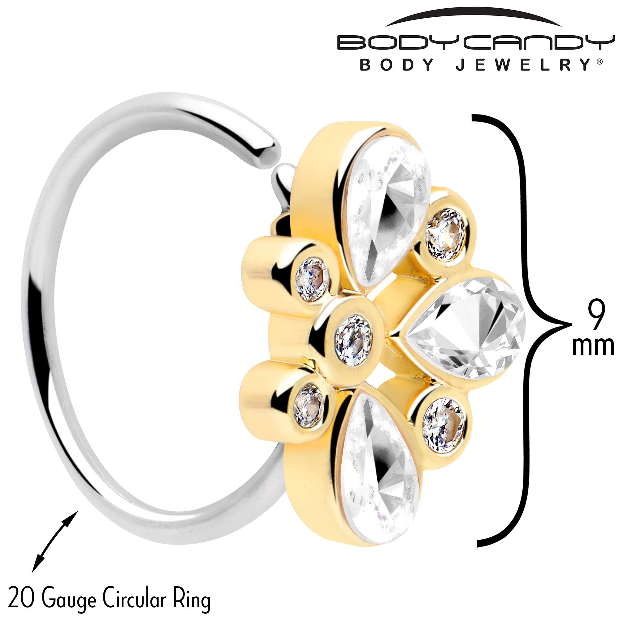BodyCandy 20G 5/16 Clear Gem Golden Crown Deluxe Nose Hoop — lifestyle context