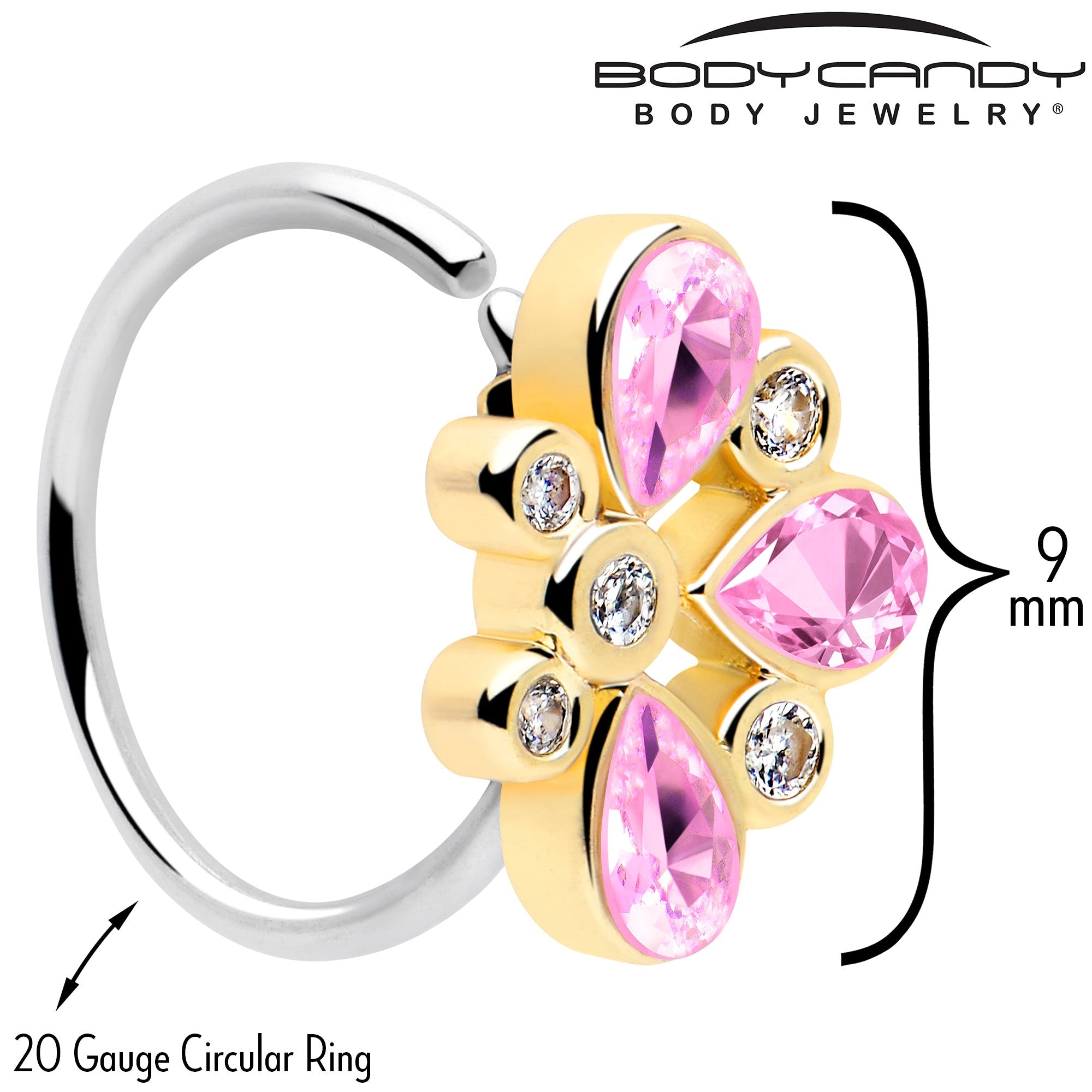 BodyCandy 20G 5/16 Pink Gem Golden Crown Deluxe Nose Hoop — lifestyle context
