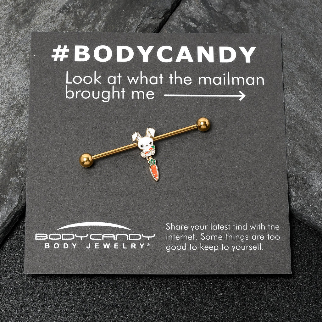 BodyCandy 14G Gold Tone Cutie Easter Bunny Dangle Industrial Barbell 38mm — lifestyle context