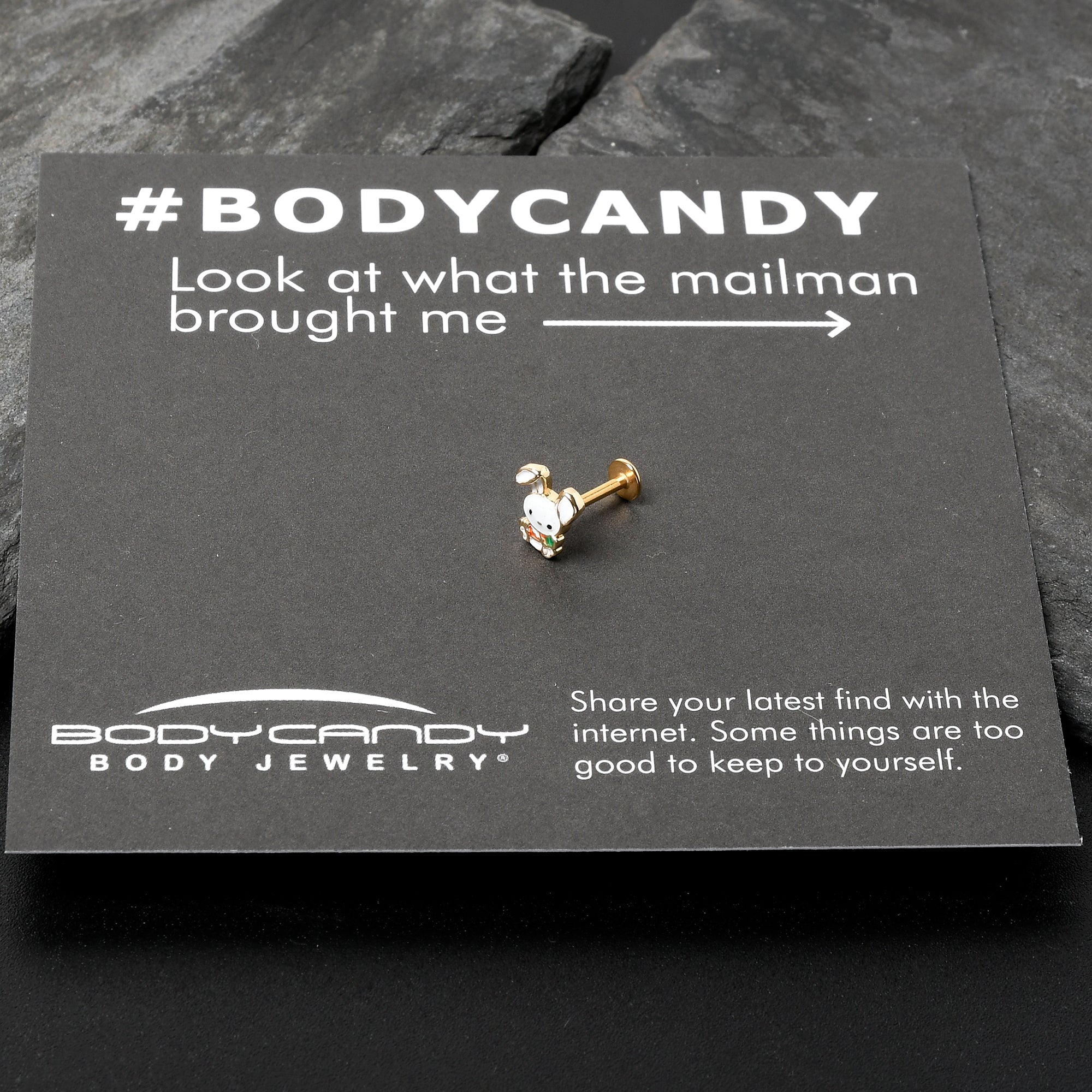 BodyCandy 16G 5/16 Gold Tone Cutie Easter Bunny Labret Monroe Tragus — back view