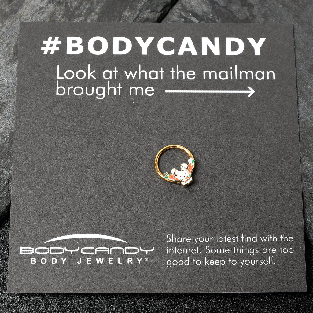 BodyCandy 16G 3/8 Gold Tone Cutie Easter Bunny Hinged Segment Ring — alternative angle