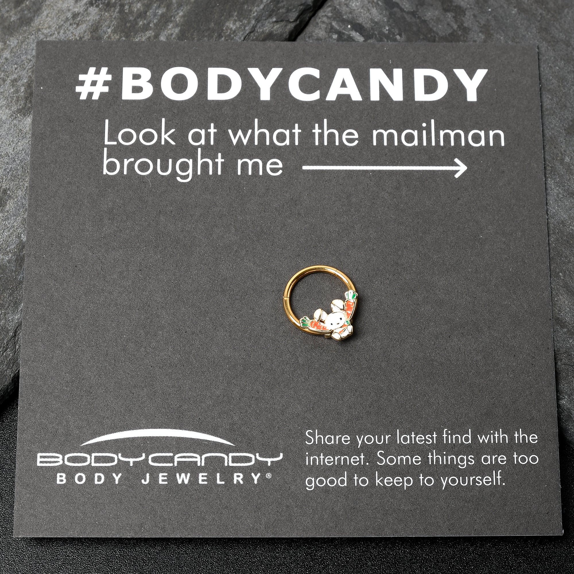 BodyCandy 16G 3/8 Gold Tone Cutie Easter Bunny Hinged Segment Ring — alternative angle