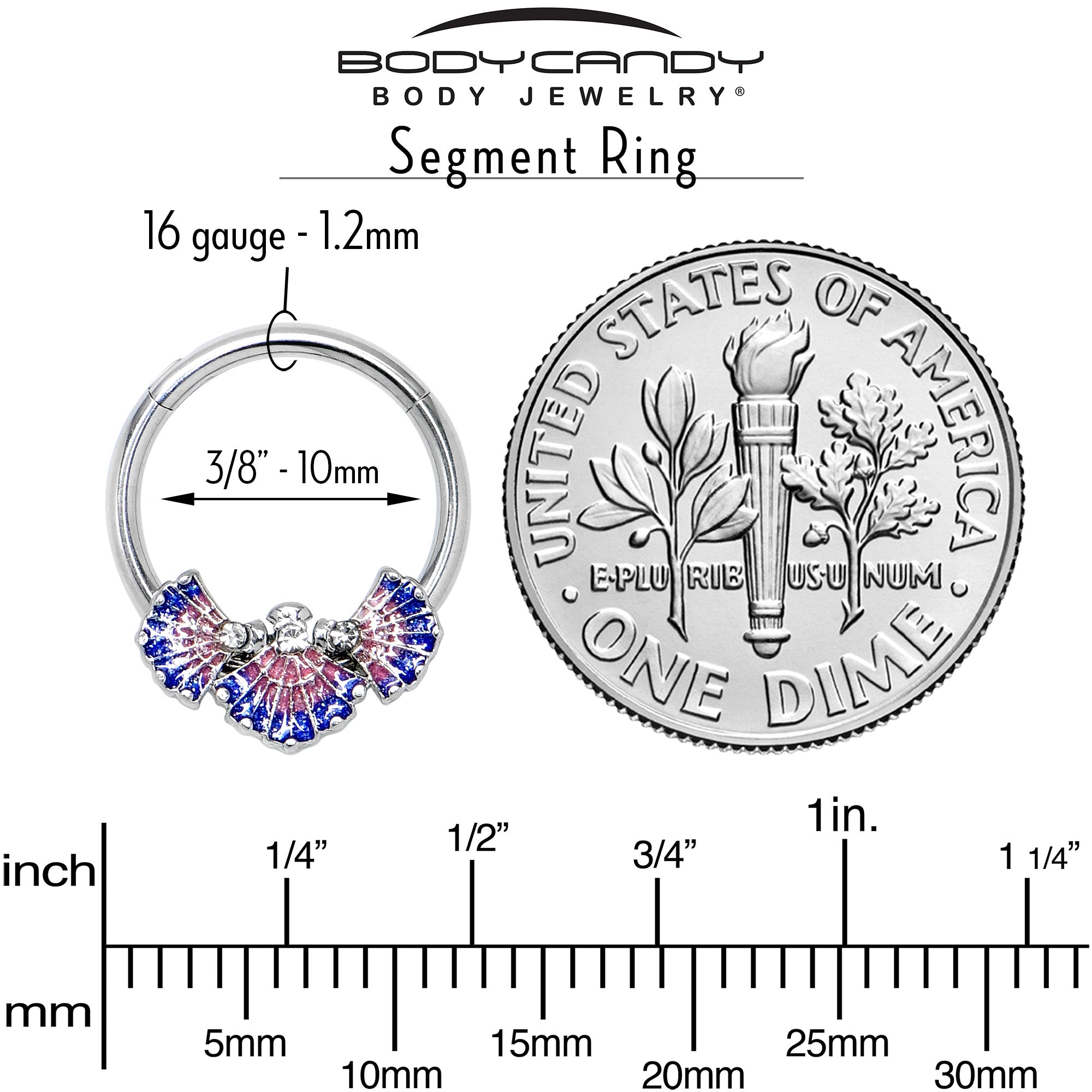 BodyCandy 16G 3/8 Clear CZ Gem Mesmerizing Sea Shells Hinged Segment Ring — alternative angle