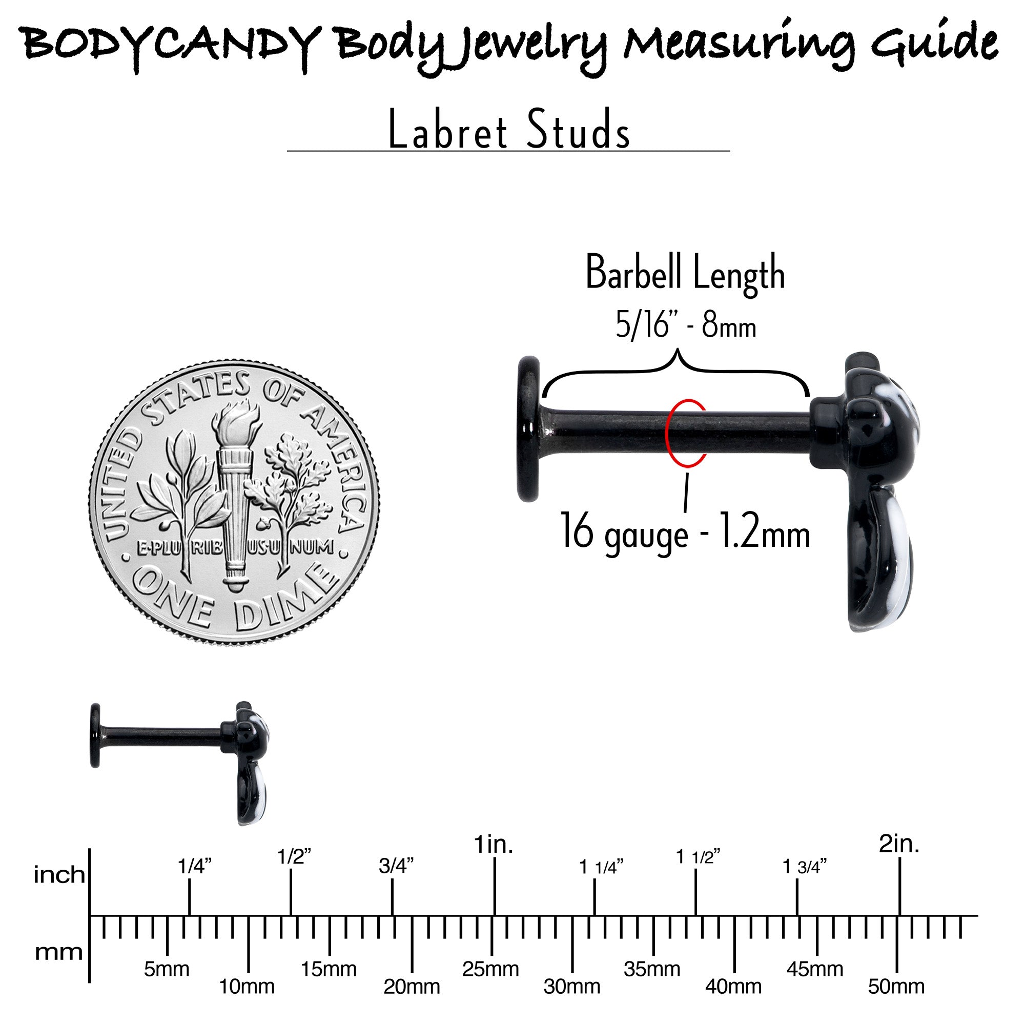 BodyCandy 16G 5/16 Black Funky Skunk Labret Monroe Tragus — in-use photo