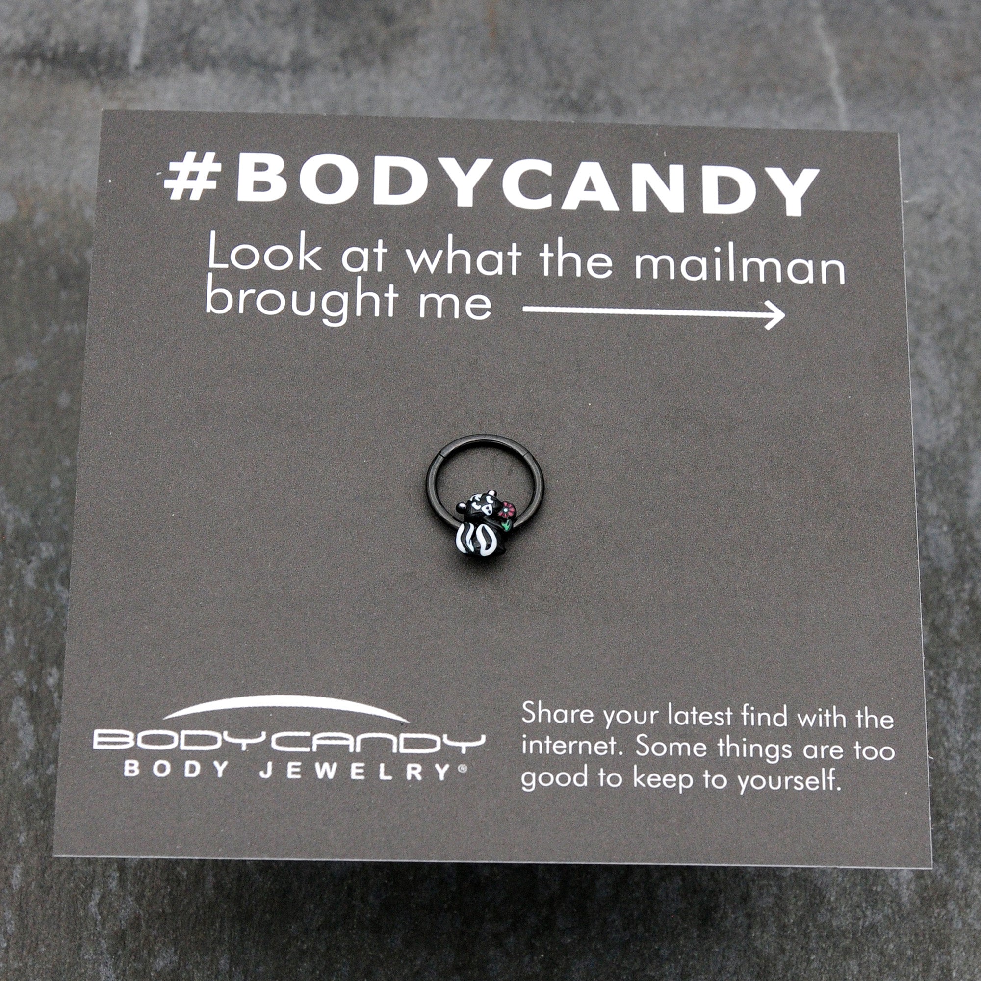 BodyCandy 16G 3/8 Black Funky Skunk Hinged Segment Ring — size reference