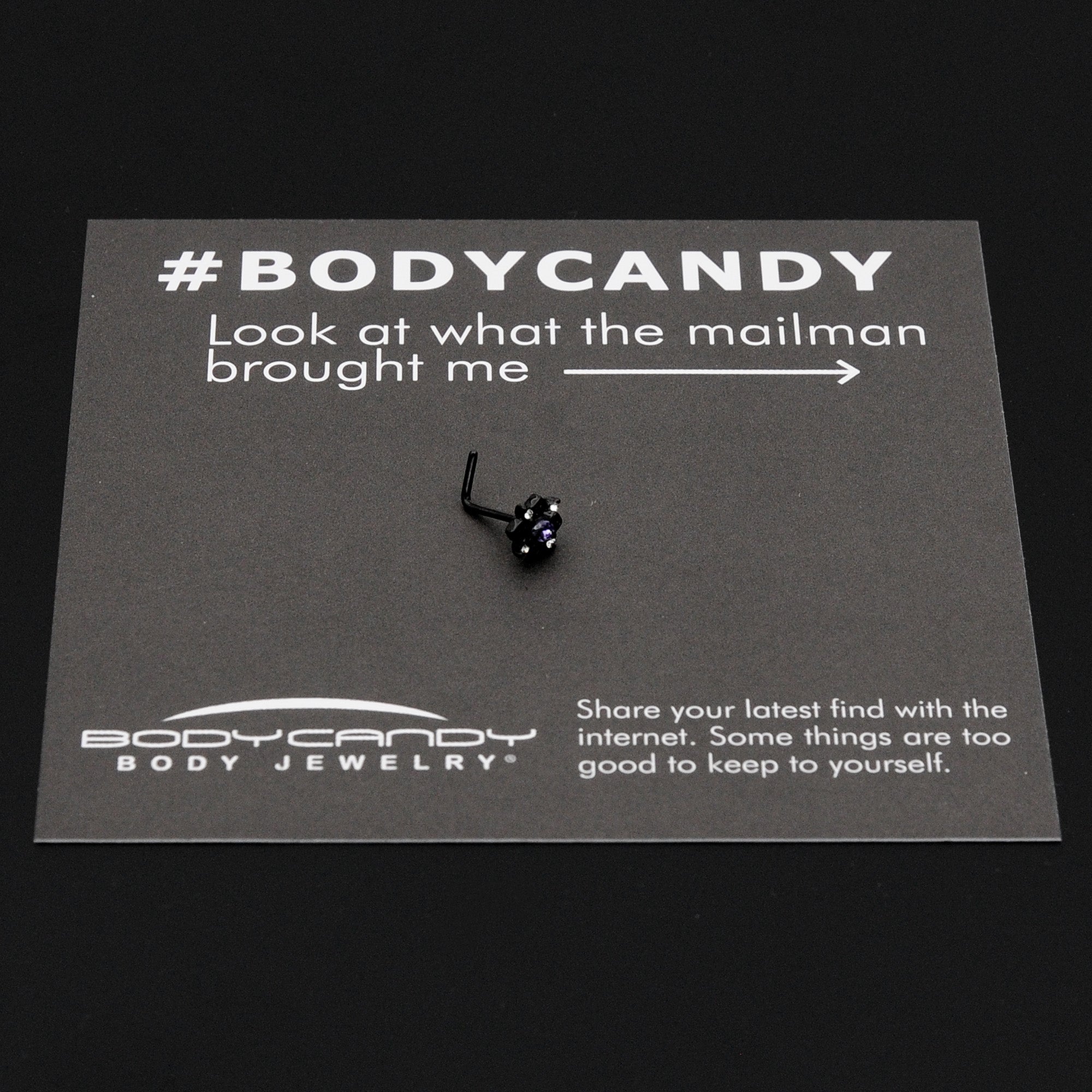 BodyCandy 20G 7mm Purple Gem Black Scrolling Hearts L Shape Nose Ring — size reference
